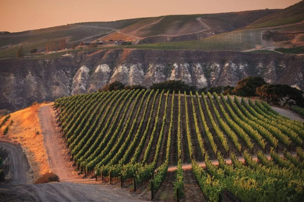Santa Barbara Wine Country Community Event: Navigating the Wholesale Channel