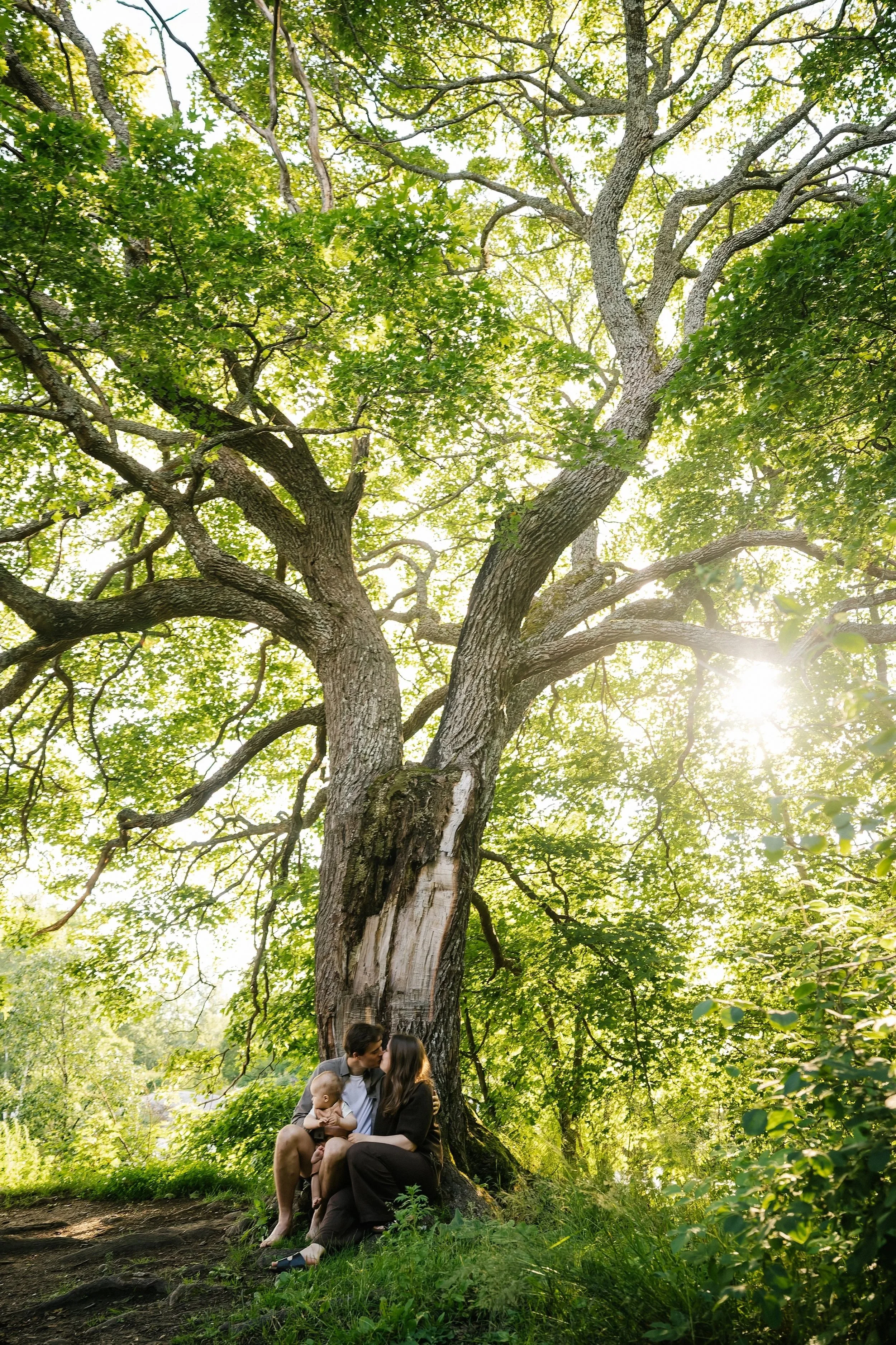 A family of three sitting on the grass under a large tree in a lush, green forest during daylight. The family appears to be a mother, father, and their young child. The sun shines through the leaves, creating a warm and peaceful atmosphere.