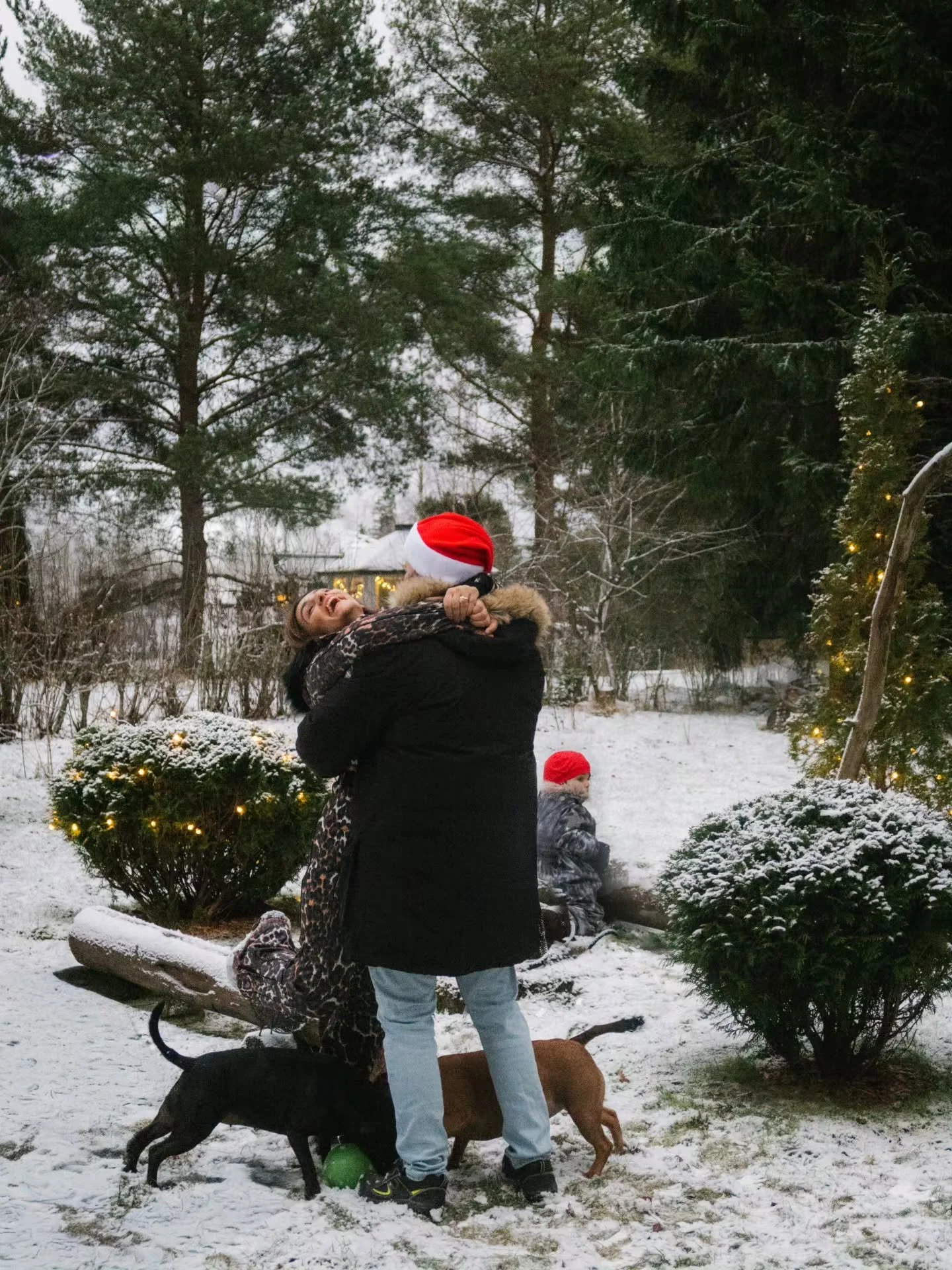 Hyv&auml;&auml; joulua 🤎