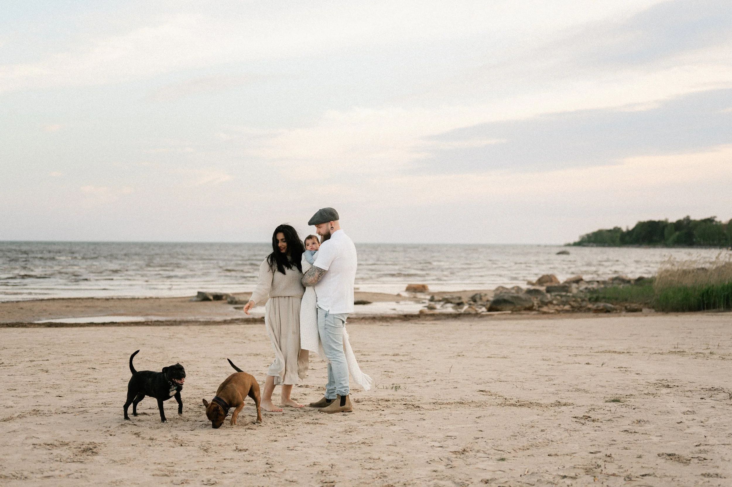 A family of three and two dogs walking on a sandy beach near the ocean at dusk.