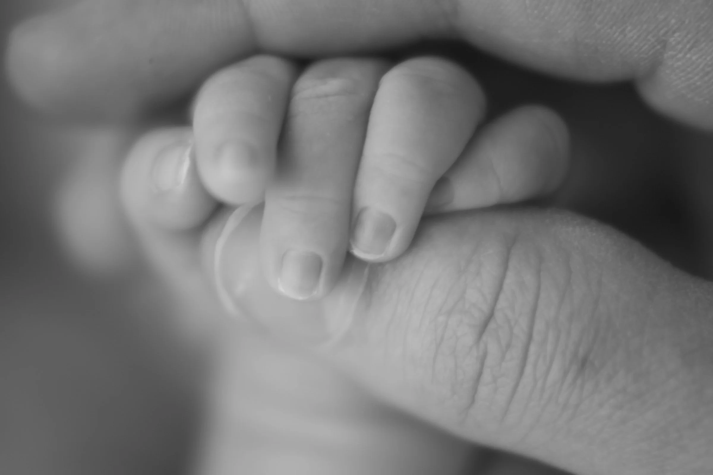 Close-up of a small baby's hand gripping an adult's finger, black and white photograph.