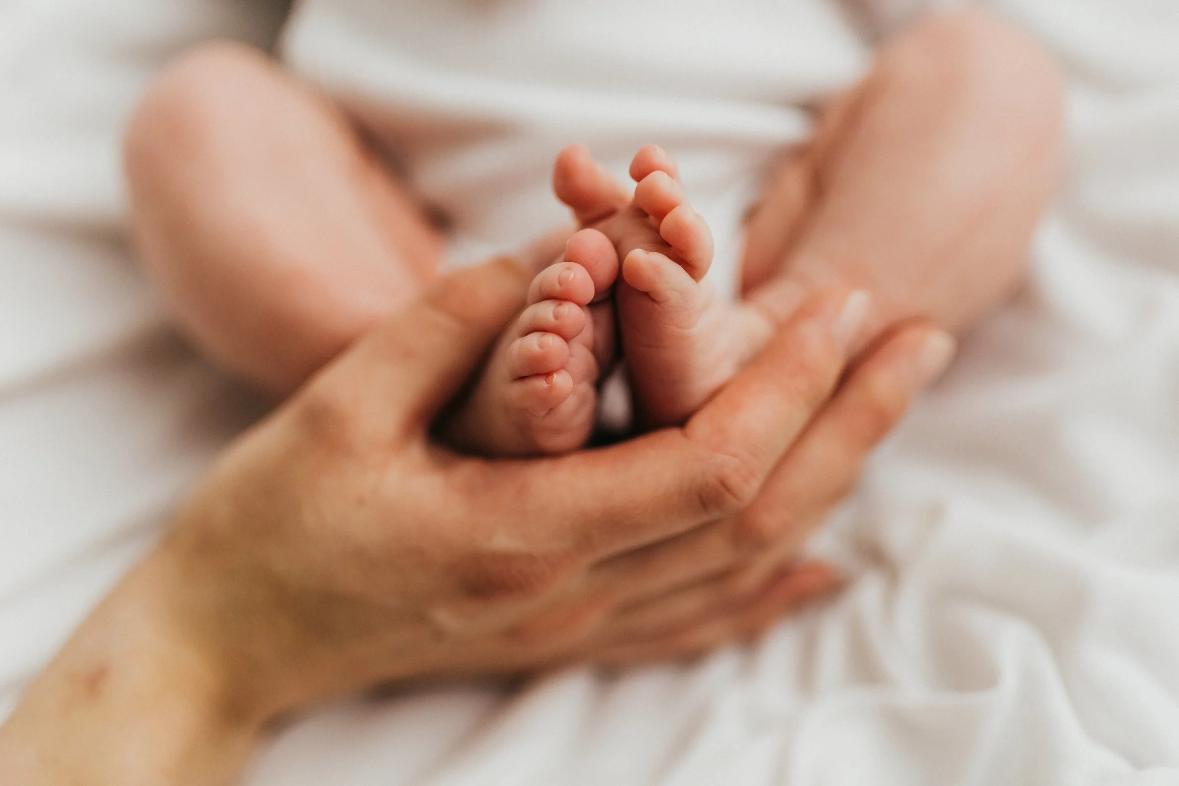 An adult's hands gently cradling a newborn baby's tiny feet, with the baby lying on a soft white surface.