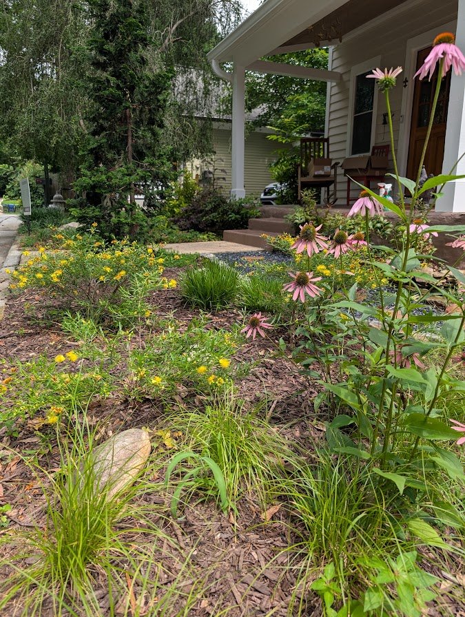 native landscaping, native plants, southeast native plants