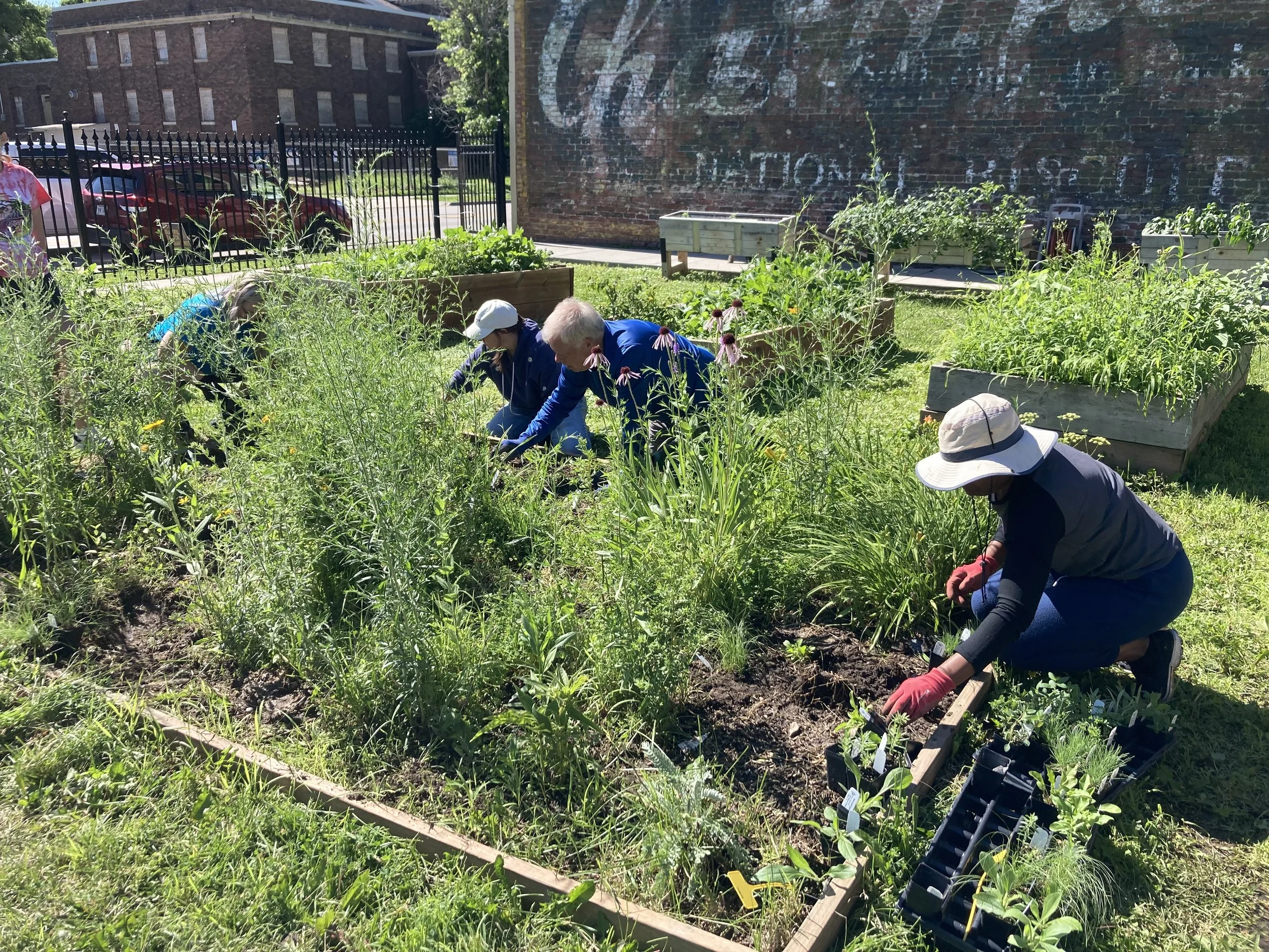 Plant 1 - Take 1 at Goodwin Heritage Garden