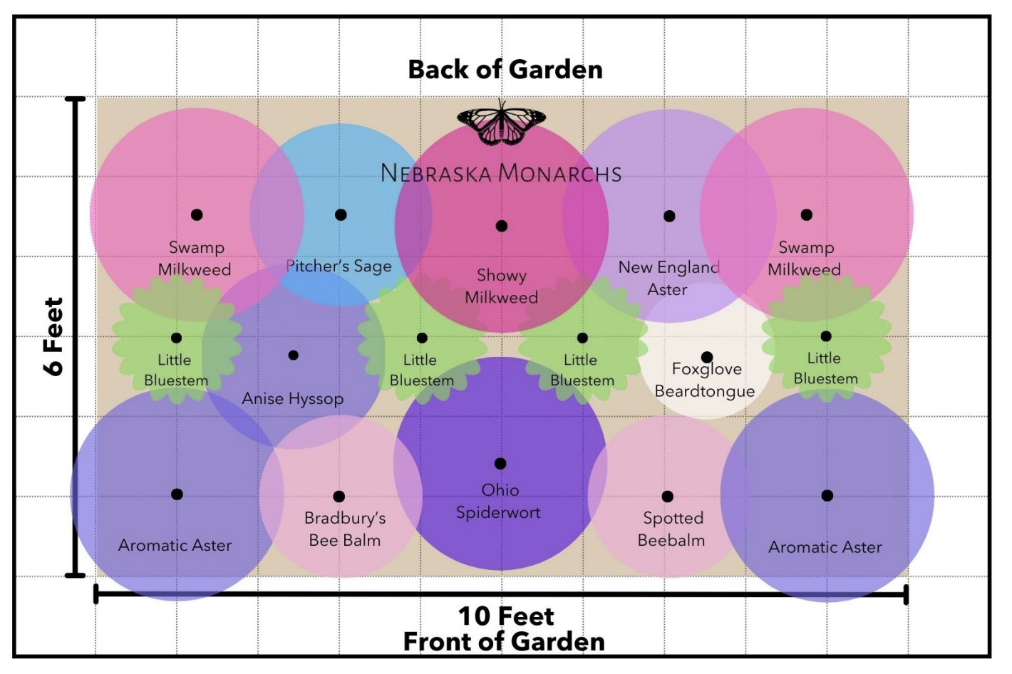 Garden planting zone map showing different types of plants and their suitable zones, with measurements in feet for front and back of the garden.