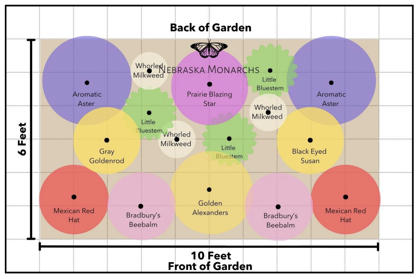A gardening chart displaying Nebraska Monarchs with colored circles representing different plant types, arranged on a 10-foot by 6-foot grid labeled with plant names.