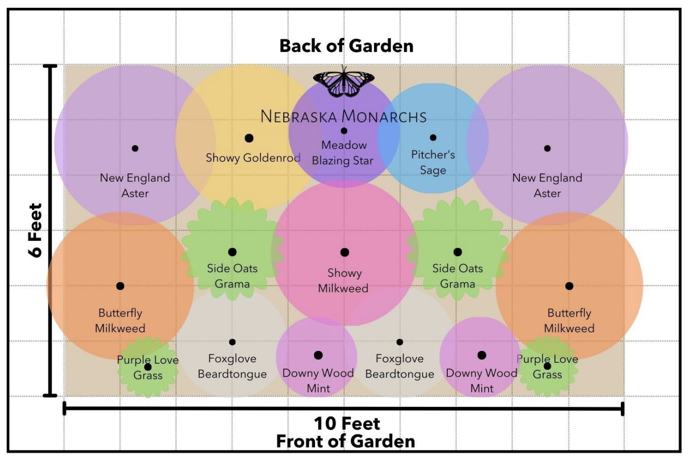 A garden planting diagram showing various plants, trees, and shrubs with labels and colored circles indicating their spacing and placement for a 6-foot tall garden.