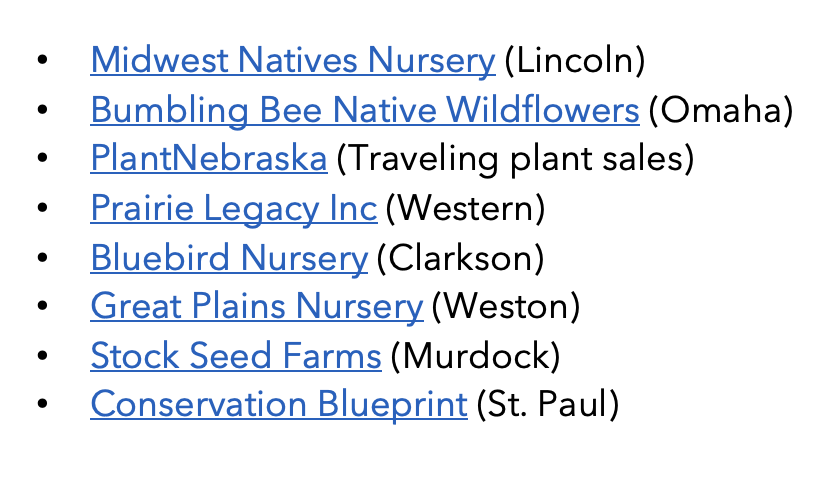A list of nursery and plant sale organizations with their locations, including Midwest Natives Nursery, BumBling Bee Native Wildflowers, PlantNebraska, Prairie Legacy Inc, Bluebird Nursery, Great Plains Nursery, Stock Seed Farms, and Conservation Blueprint.