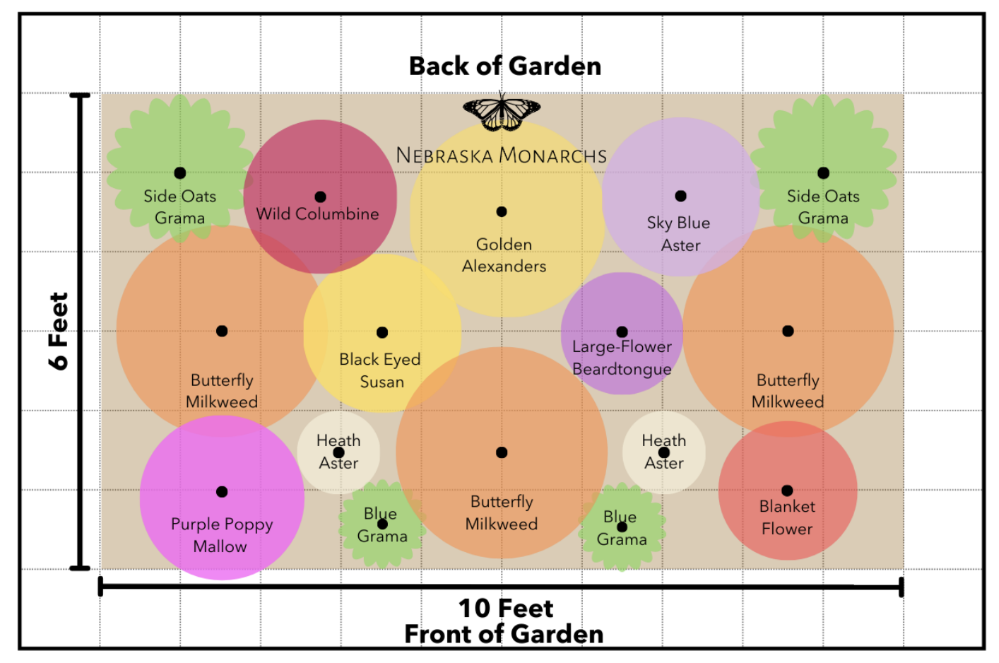 A plant arrangement diagram of a garden with labeled plant types arranged in circles of different sizes, showing back and front garden layout, with height and width measurements.