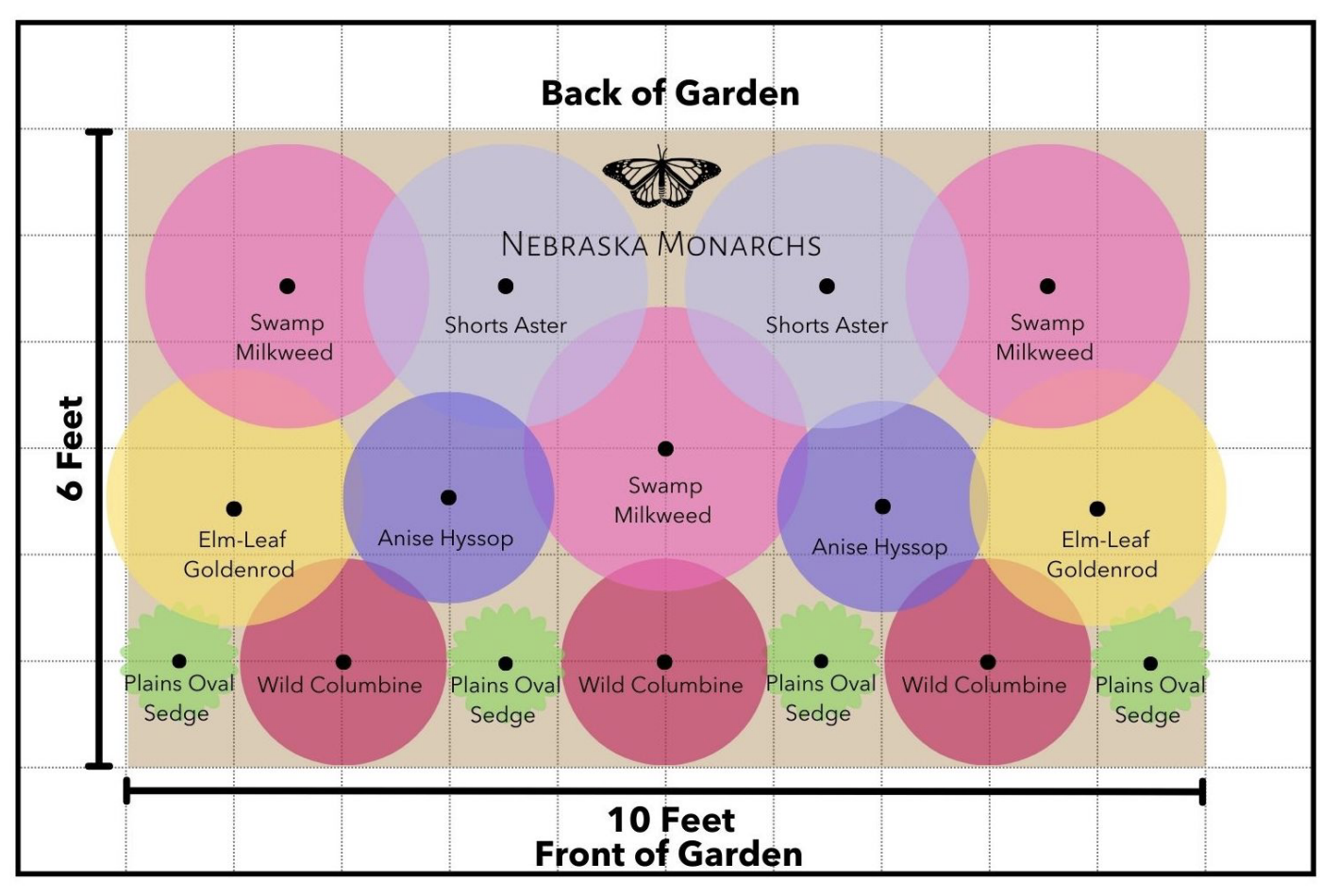 Guide to planting Nebraska Monarchs garden with labeled zones for Swamp Milkweed, Shorts Aster, Anise Hyssop, Elm-Leaf Goldenrod, Plains Oval Sedge, and Wild Columbine.