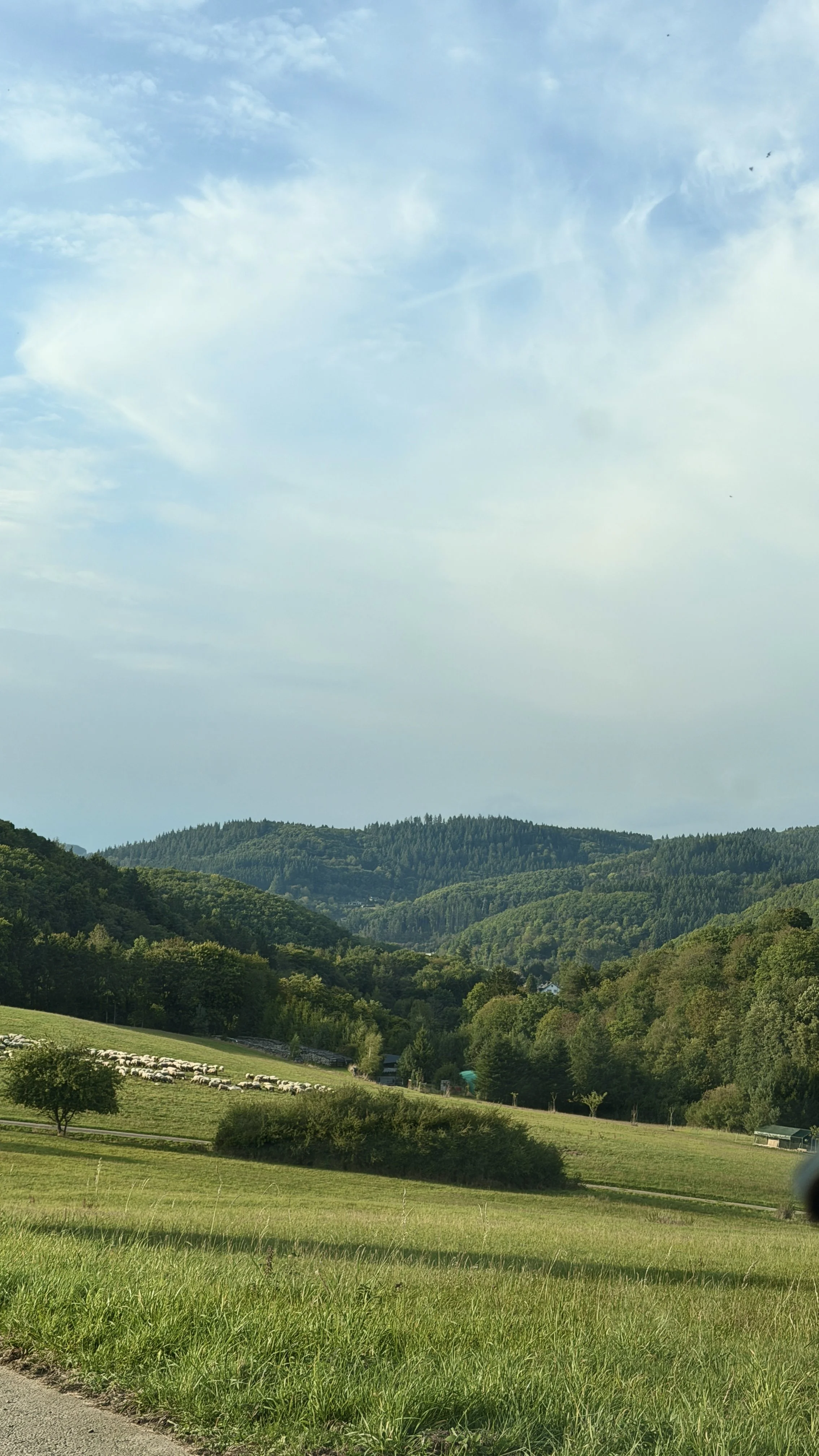 Landschaft mit grünen Hügeln, Bäumen und einem Himmel mit Wolken.