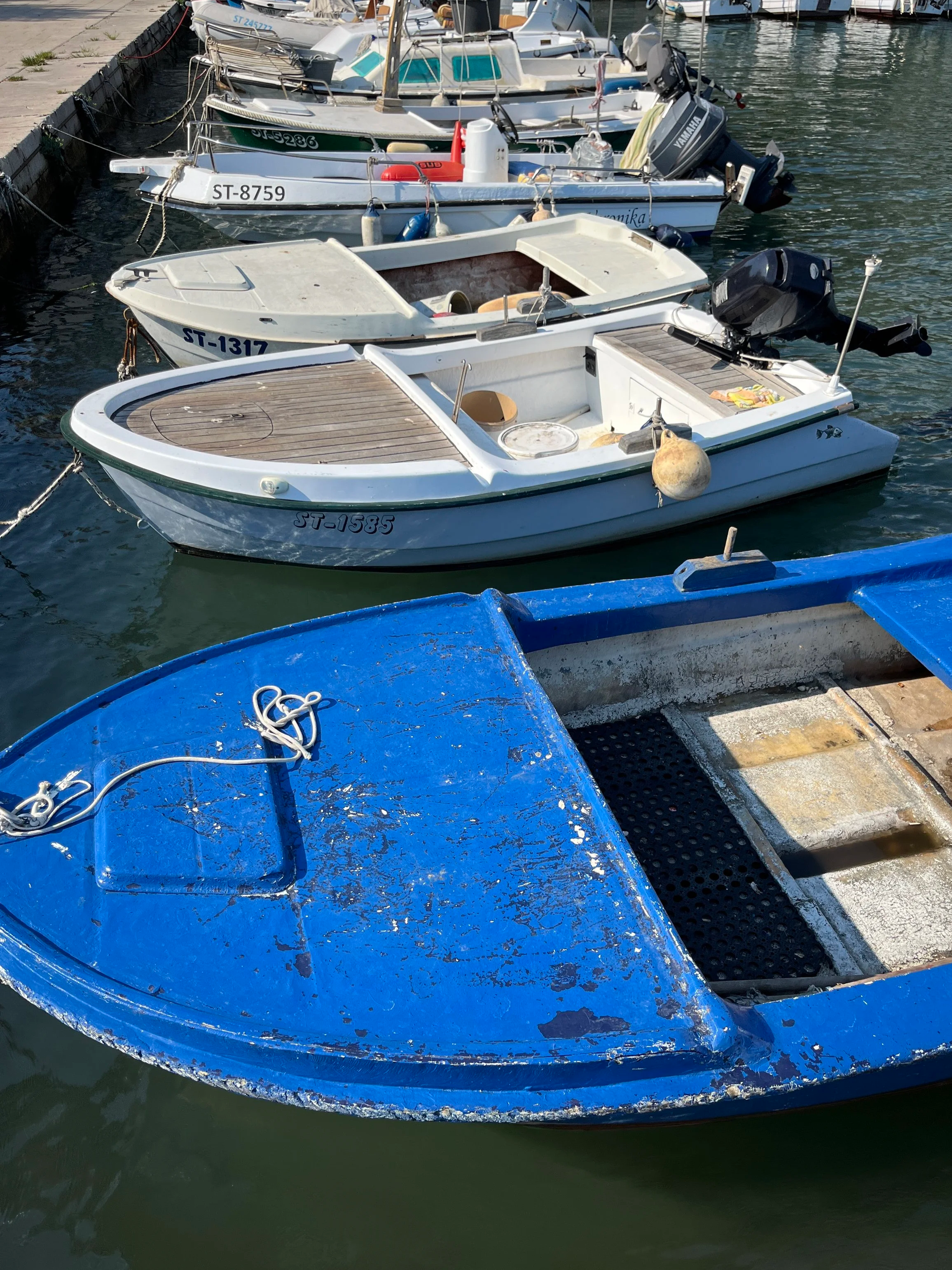 IMG_6988.png