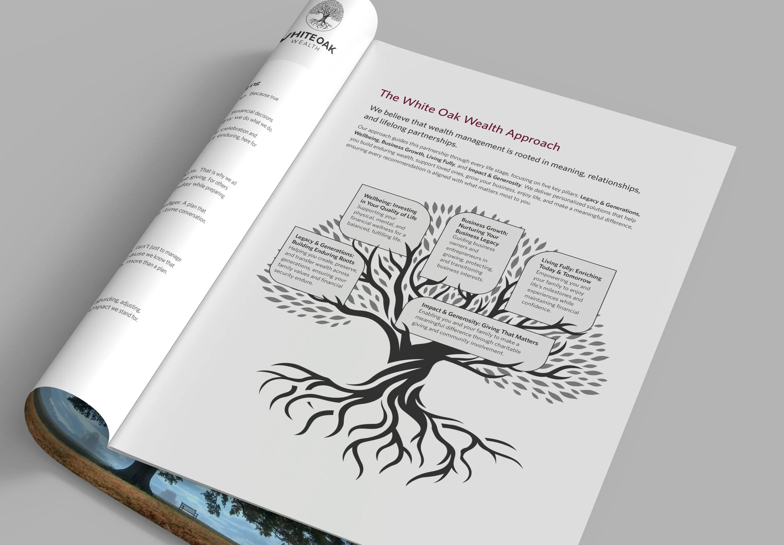 Printed brochure featuring a tree-style infographic with labeled text boxes arranged along the branches on a grey surface.