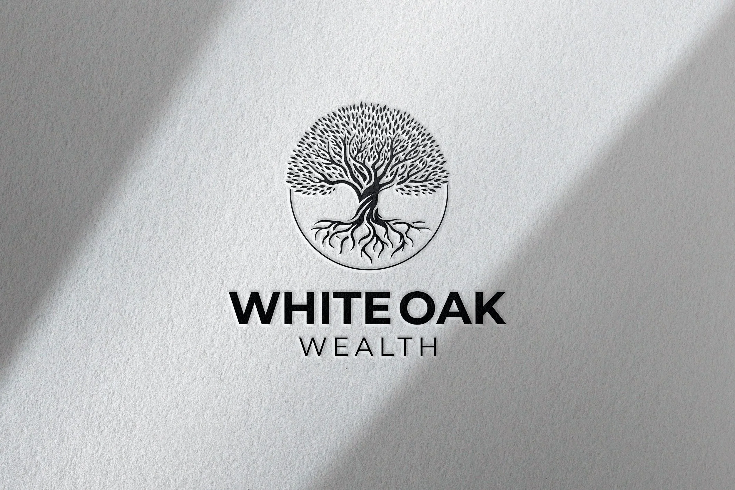White Oak Wealth: Logo development emphasizing the concept of deep roots to symbolize stability, long-term growth, and trusted financial guidance.