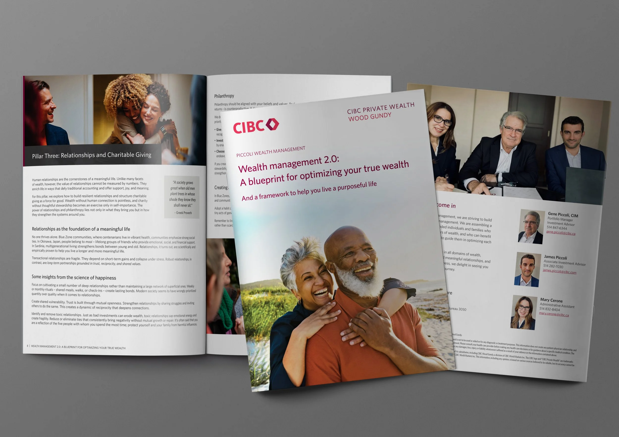 Manifesto Brochure: Custom brochure designed to bring an advisory group's message and identity into a polished print-ready format.