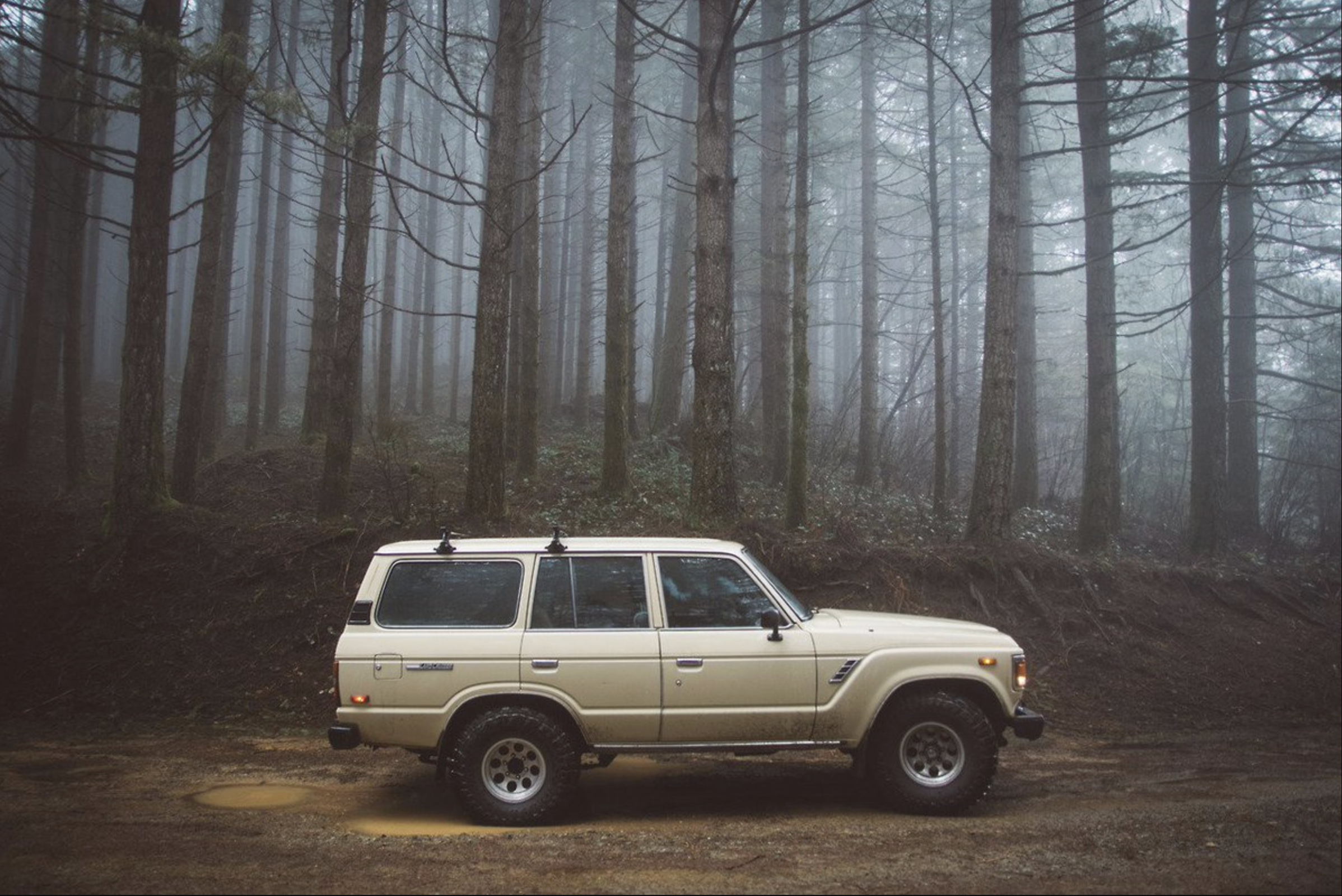 Screenshot 2026-02-01 at 9.11.43 AM.png