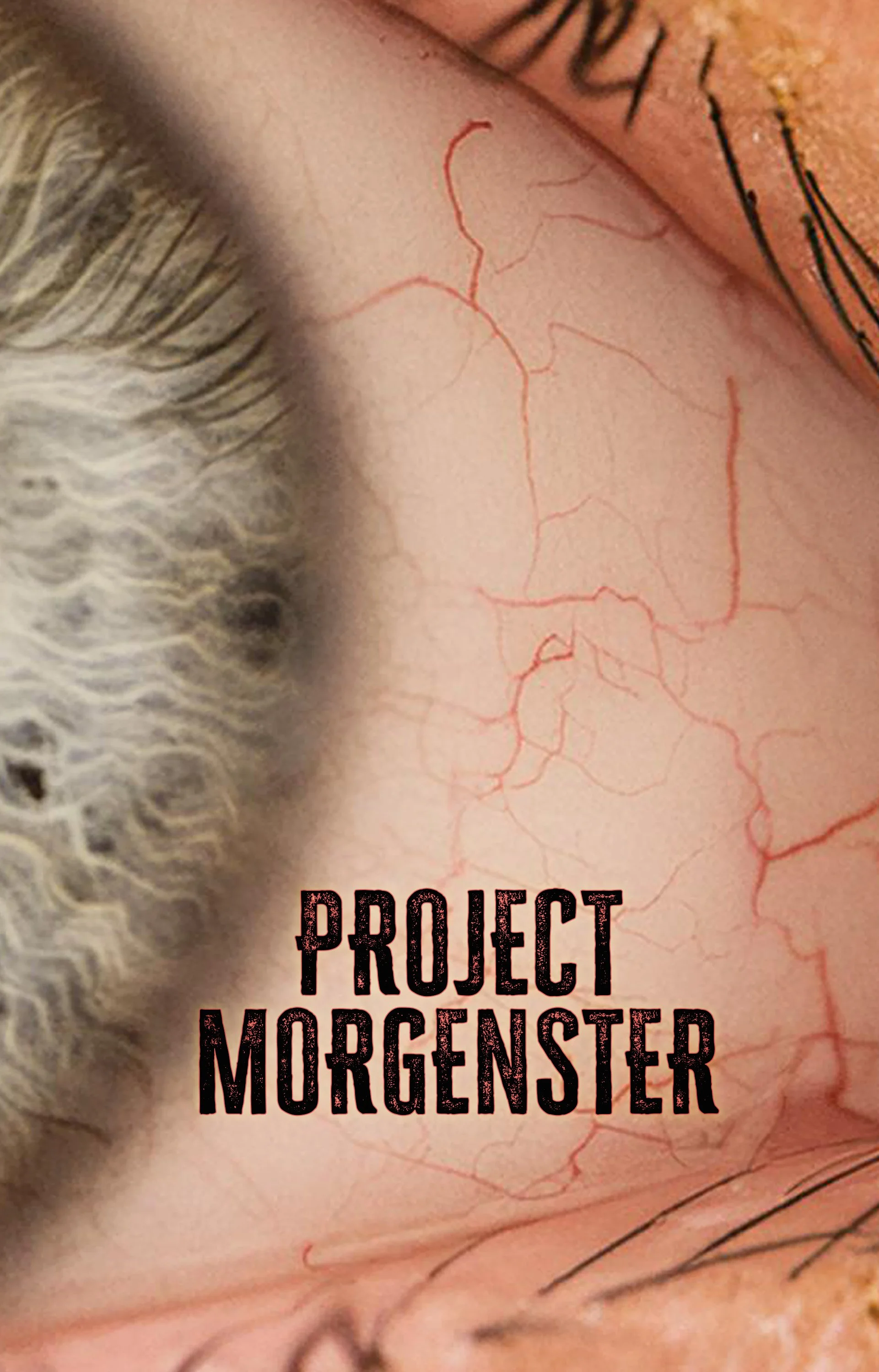 Project Morgenster
