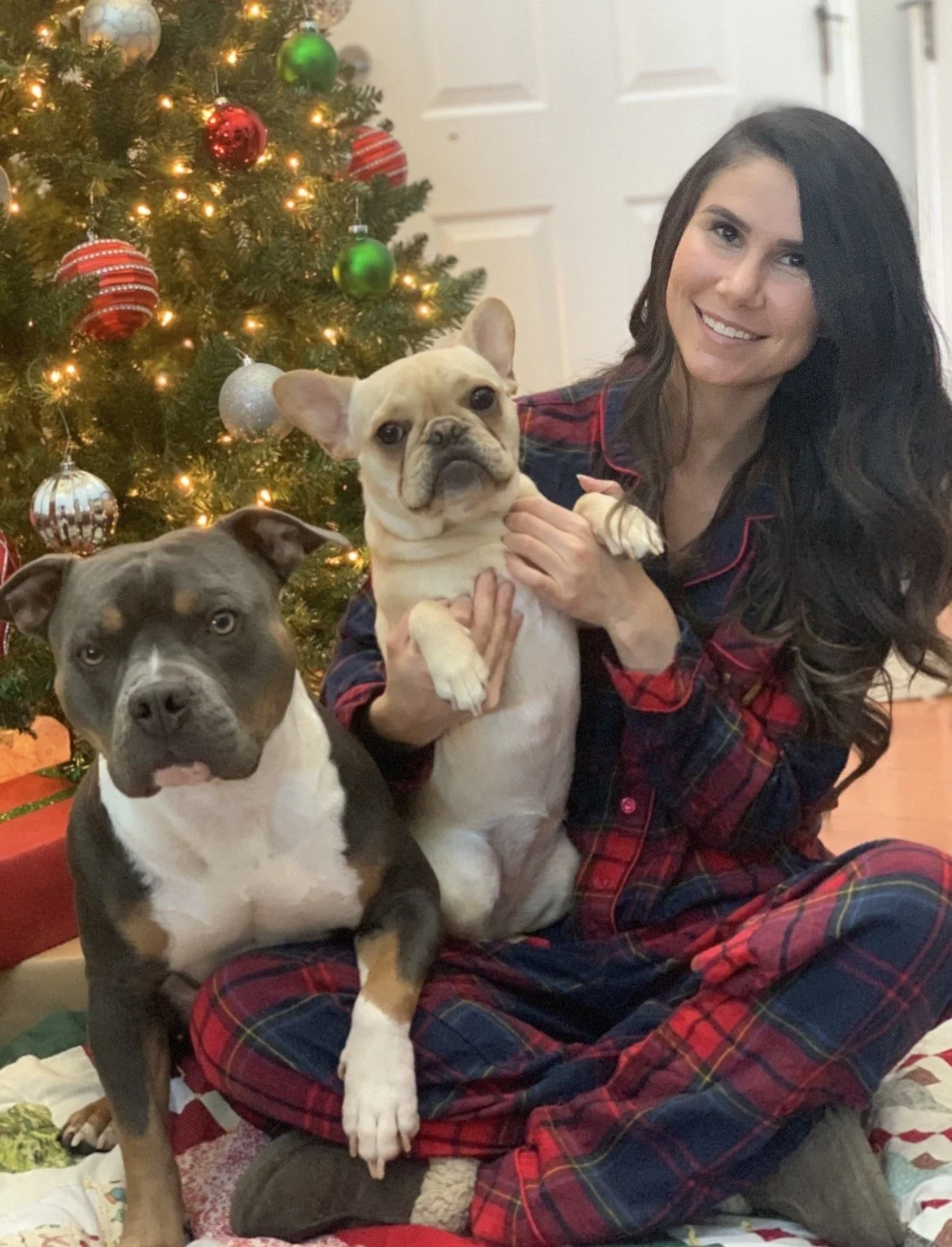 A woman in plaid pajamas sitting on the floor in front of a decorated Christmas tree, holding two dogs: a tan French Bulldog and a gray and white Pit Bull. The scene is festive with Christmas ornaments and lights.