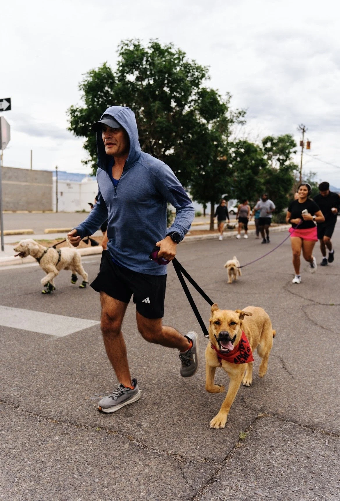 A man jogging on a street with multiple dogs and people in the background.