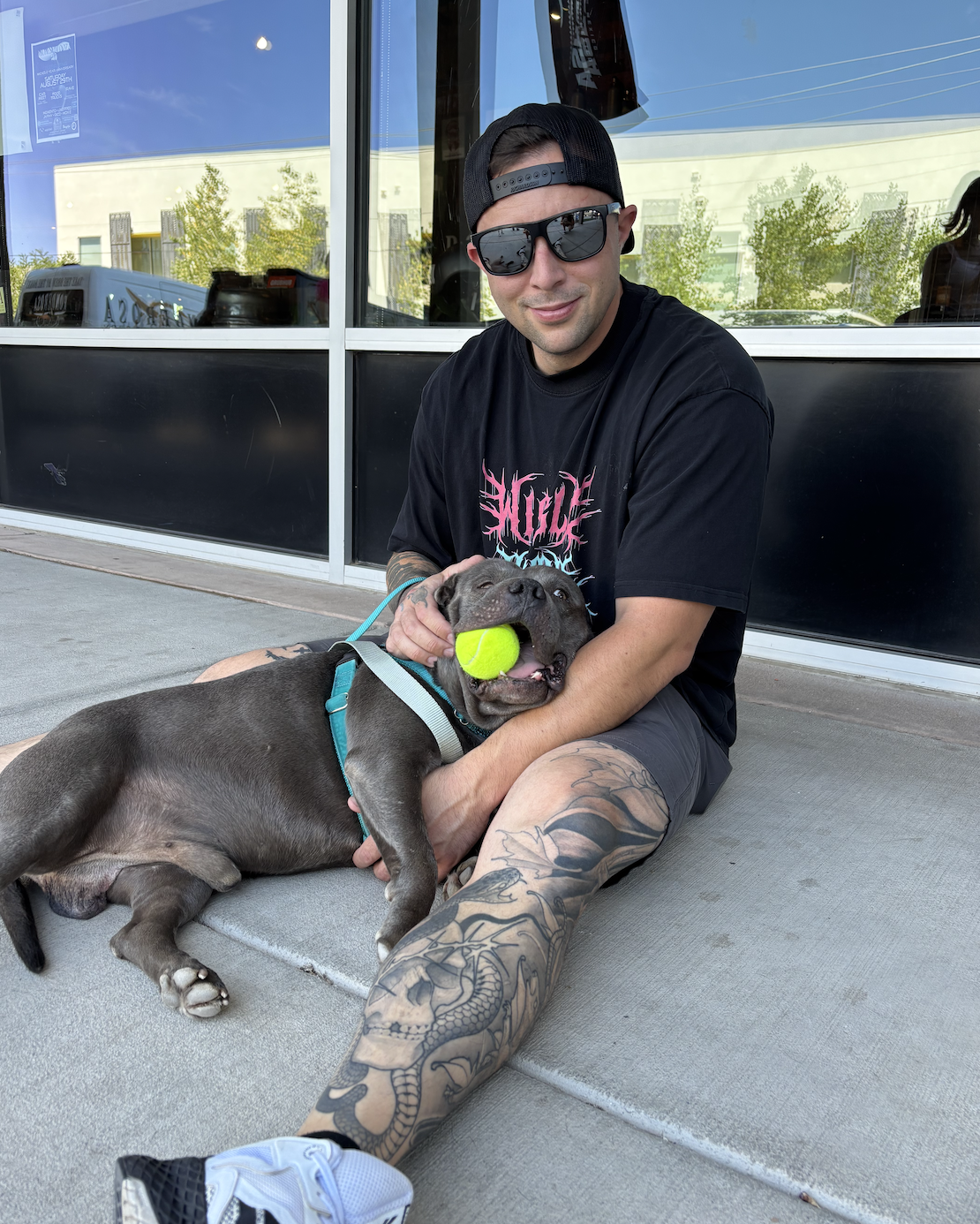 A man wearing sunglasses, a black cap, and a black T-shirt with pink and blue graphics sits on the sidewalk outside a building, holding a gray dog with a tennis ball in its mouth.