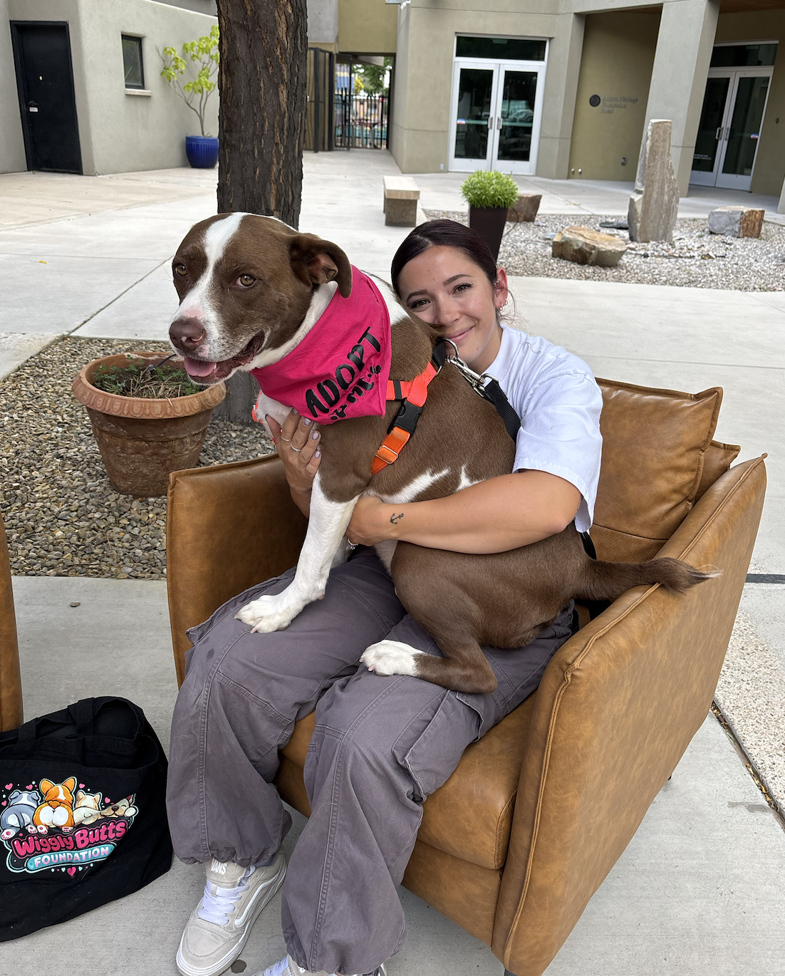 A woman sitting on a brown chair, hugging a large brown and white dog wearing a pink vest that says 'Adopt'. The woman is smiling, and they are outside in a courtyard area with buildings and plants in the background.