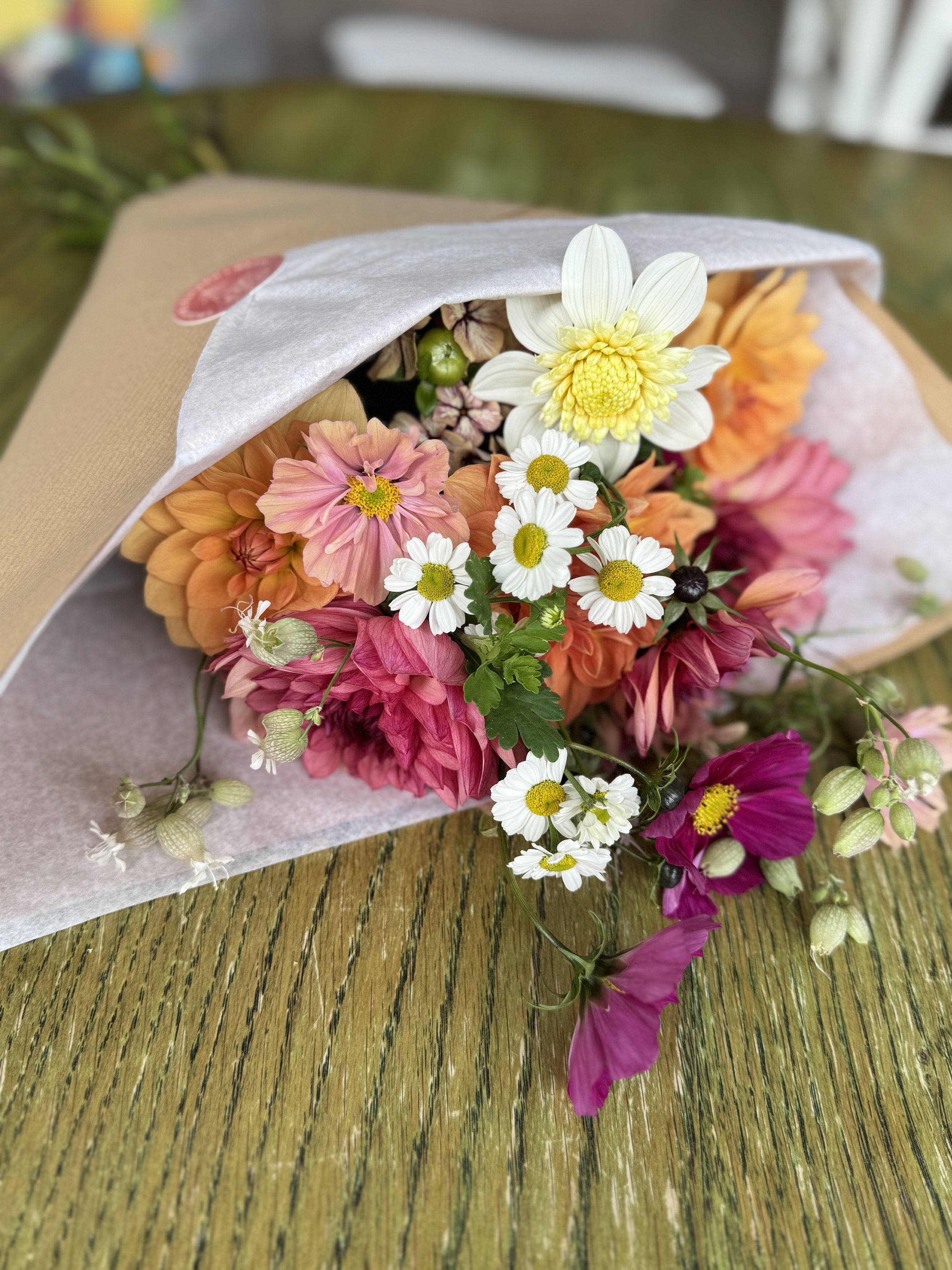 BEST OF THE BUNCH - SPRINGTIME