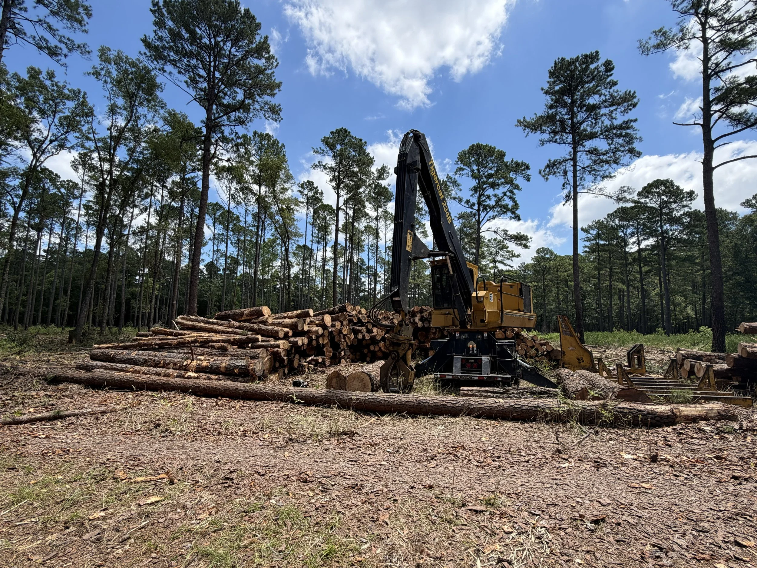 Strategies for Success in Today's South Carolina Timber Market
