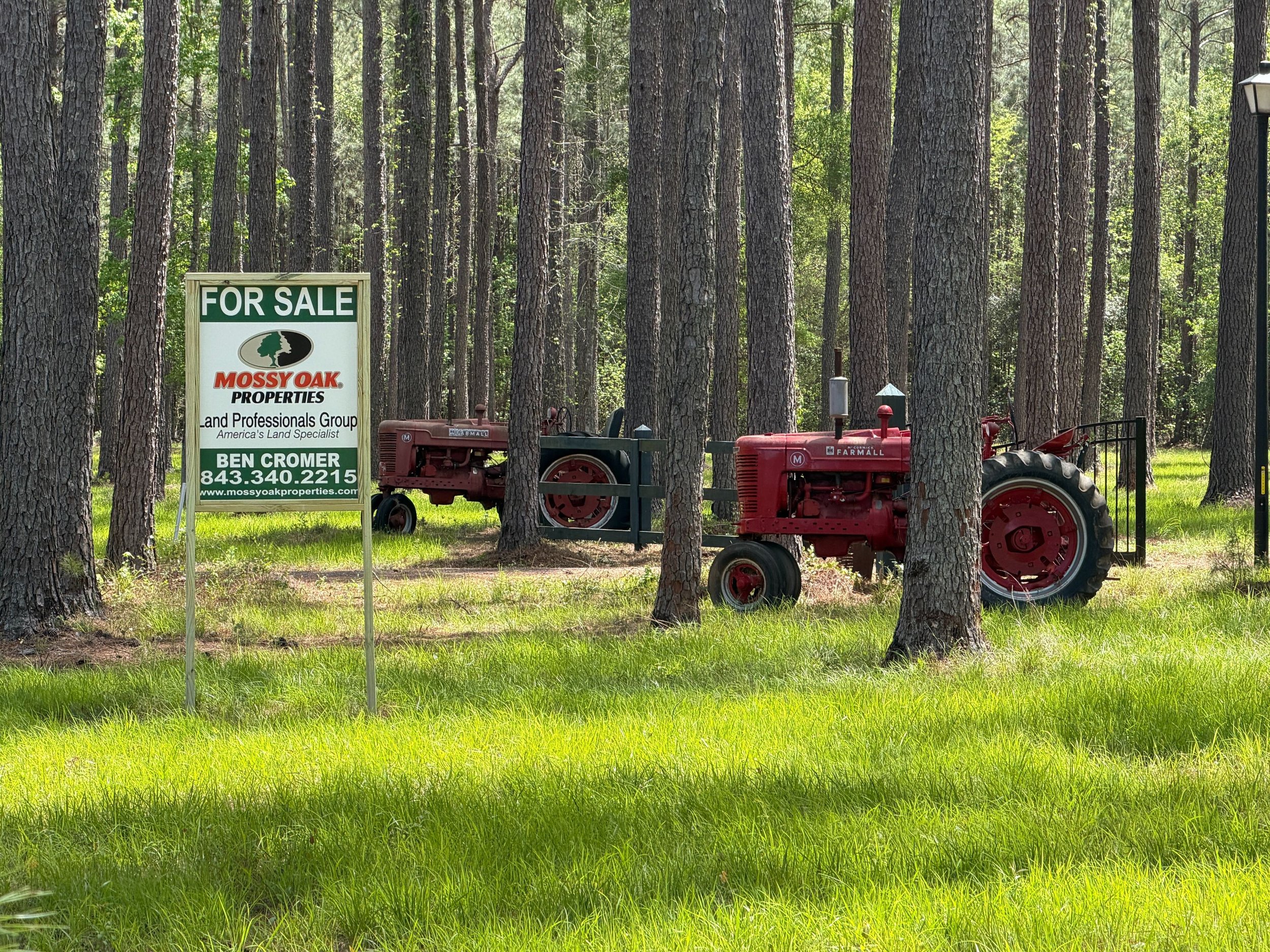 A wooded area with tall pine trees and green grass. There is a for sale sign for Mossy Oak Properties and vintage red tractors in the scene.