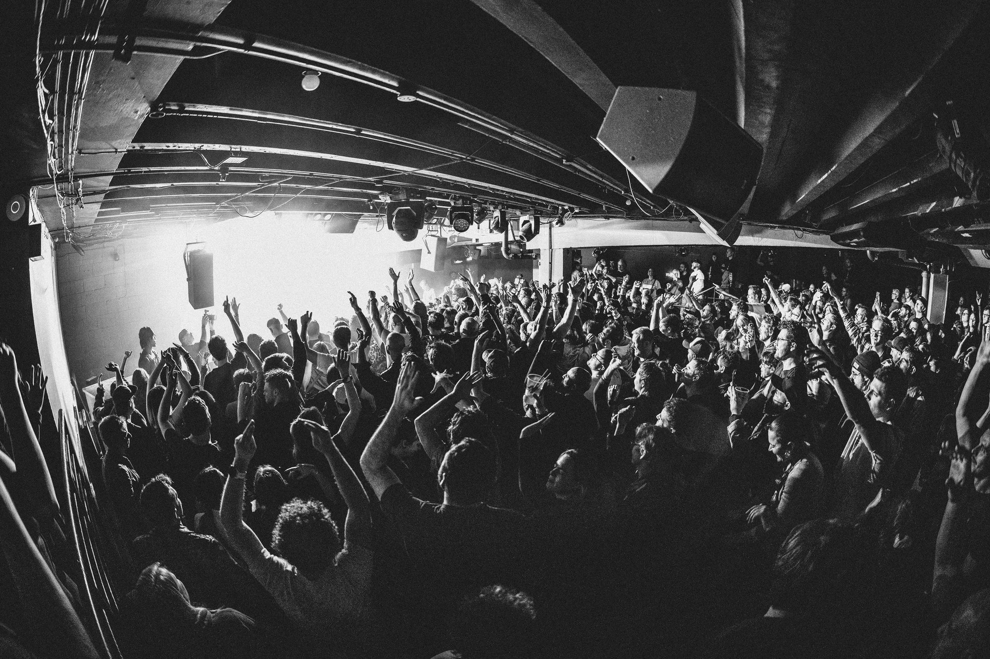 tbb-archive-24.jpg
