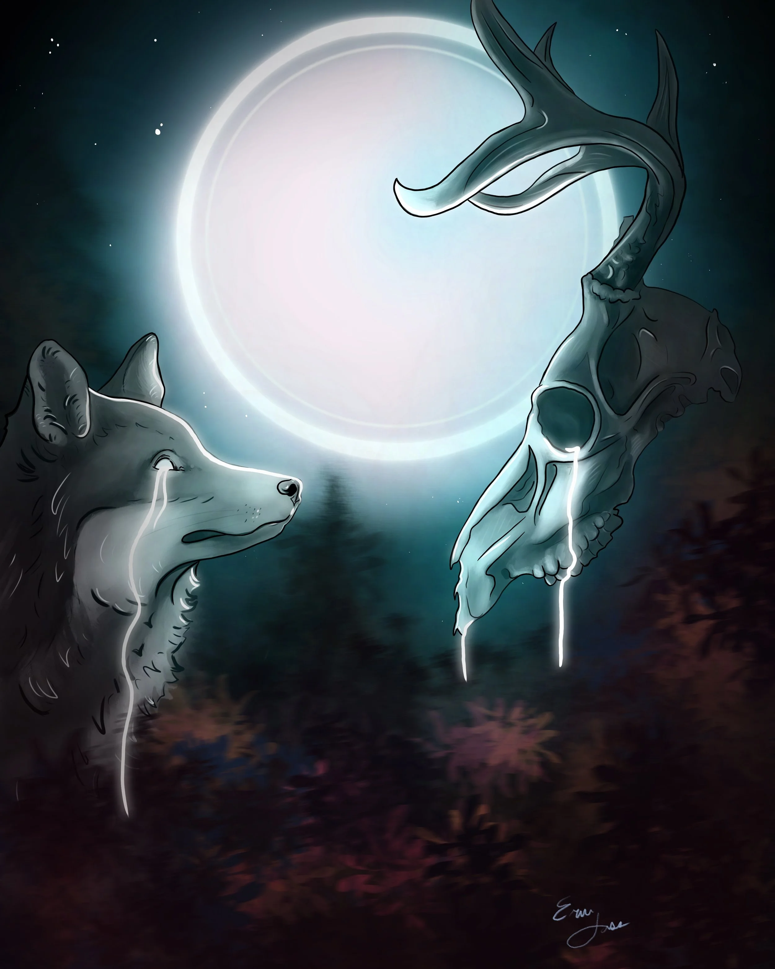 Procreate Digital Painting 