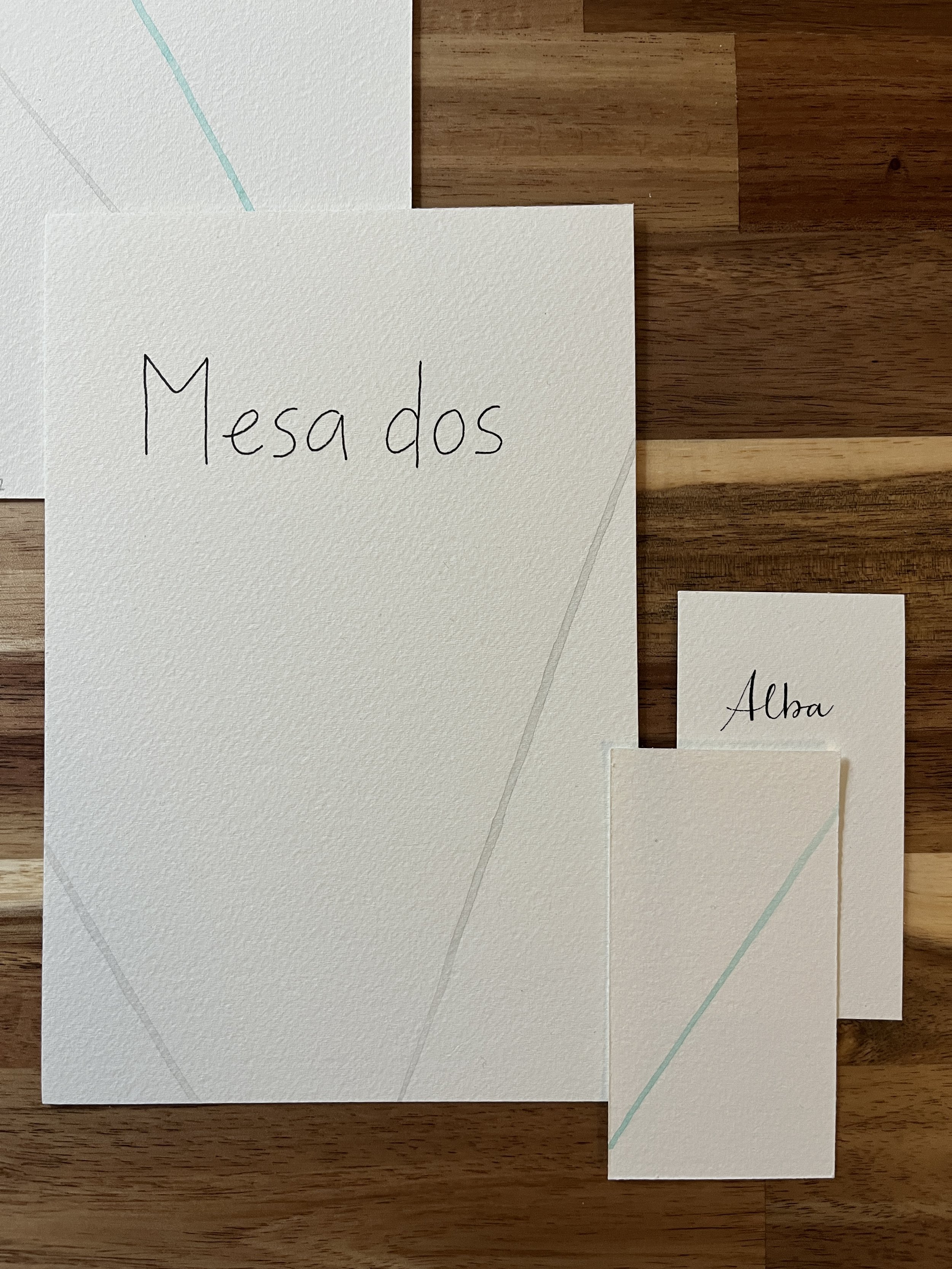caligrafía a mano en mesero de boda, papelería de boda artesanal.