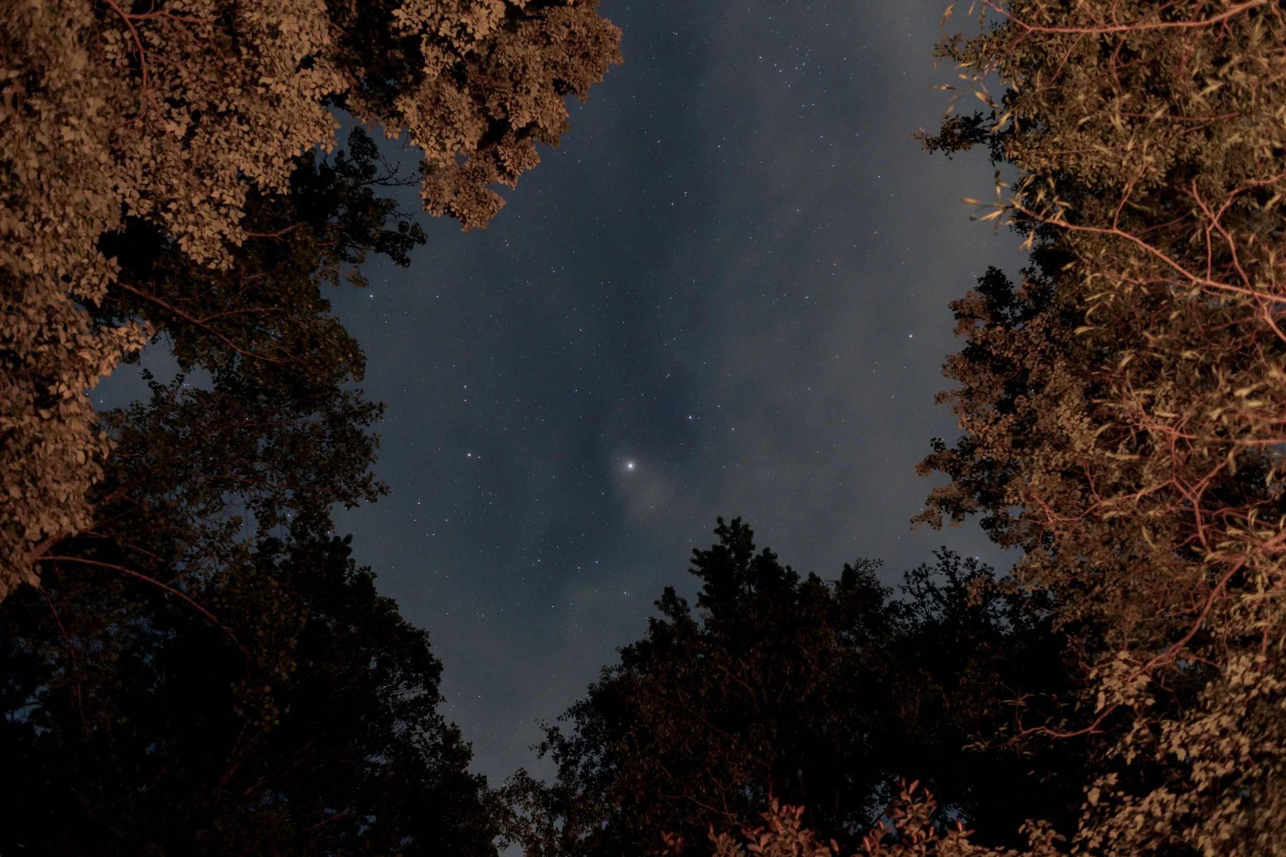 279A6651-2.jpg