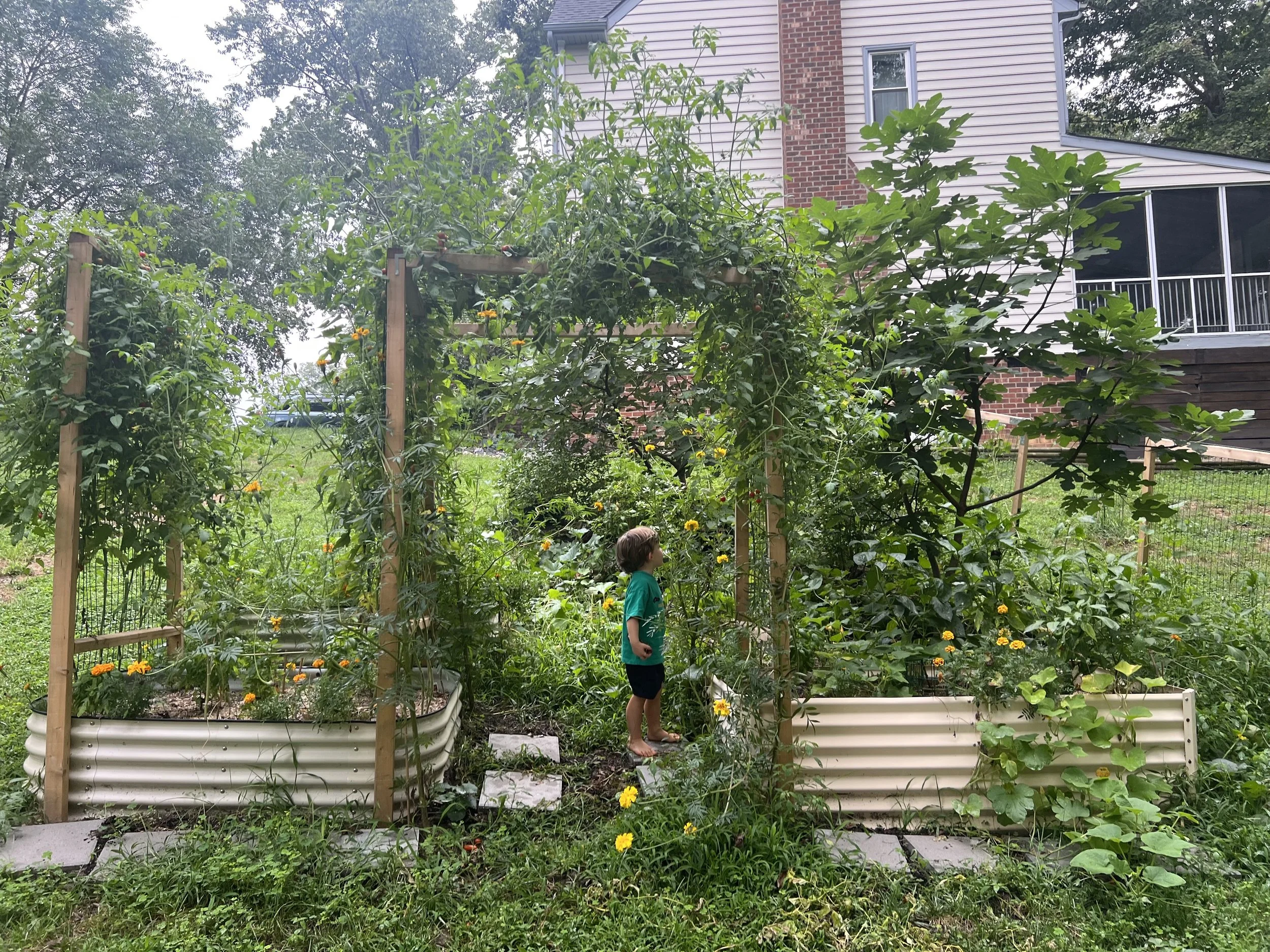 child in garden