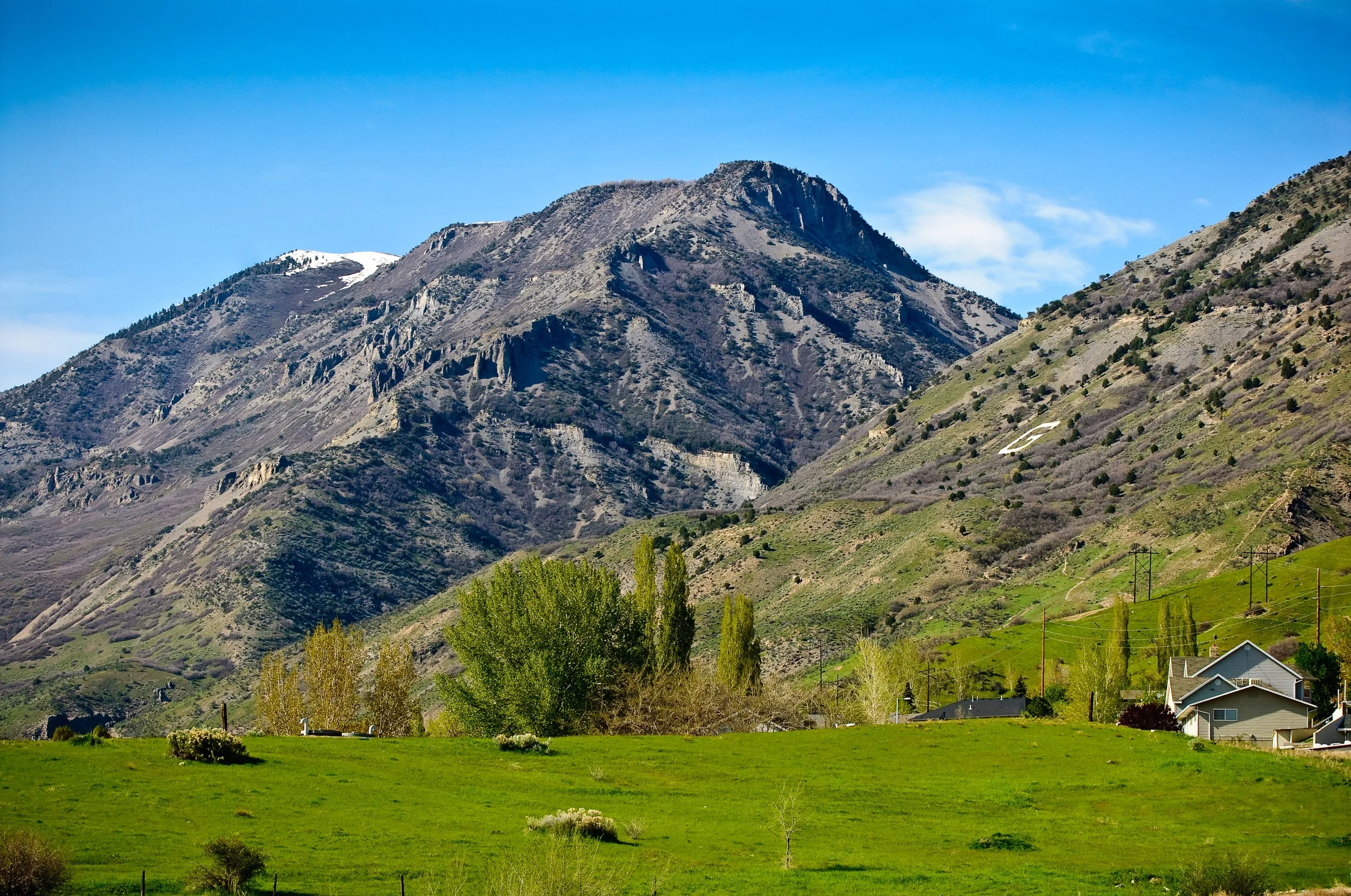 Mountains with patches of snow, green hills, trees, power lines, and houses in a rural area under a blue sky.