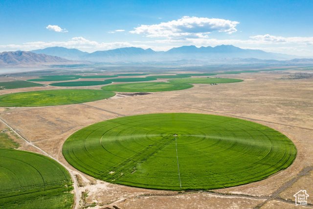 Aerial view of green circular and rectangular agricultural fields, with a mountain range in the background and a partly cloudy sky.