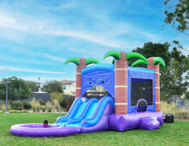 Enchanted Forest Bounce House w/ dual waterslide & detachable pool