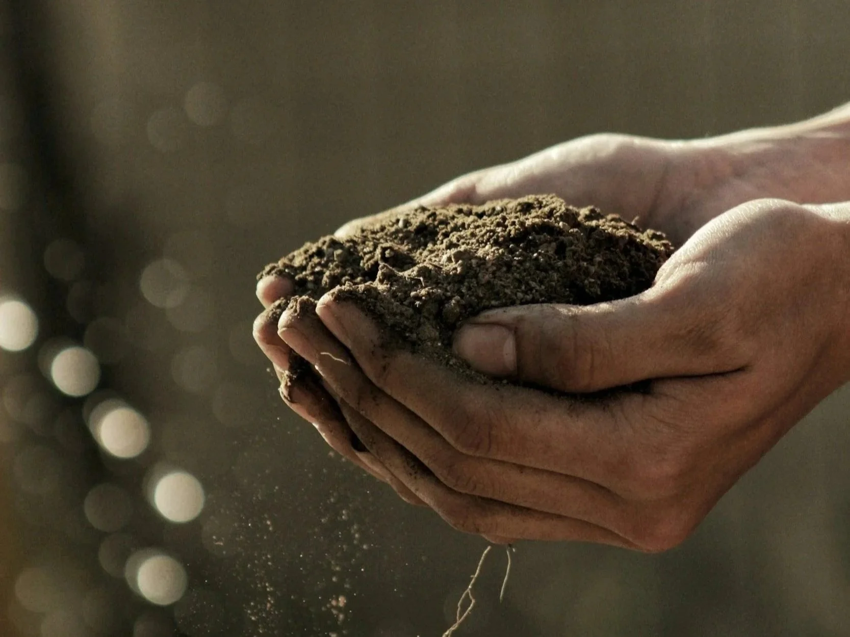 Close-up of hands holding loose dirt or soil with some dust falling.