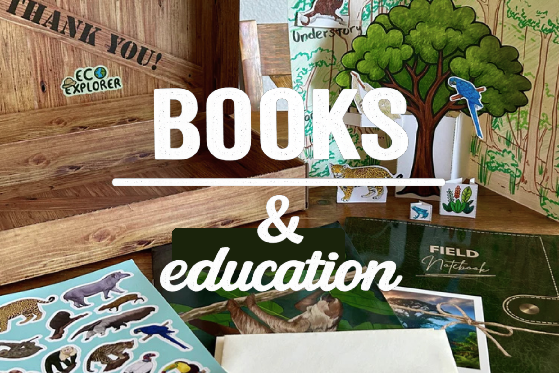 Educational display with nature-themed illustrations, stickers, and books about animals and ecology.