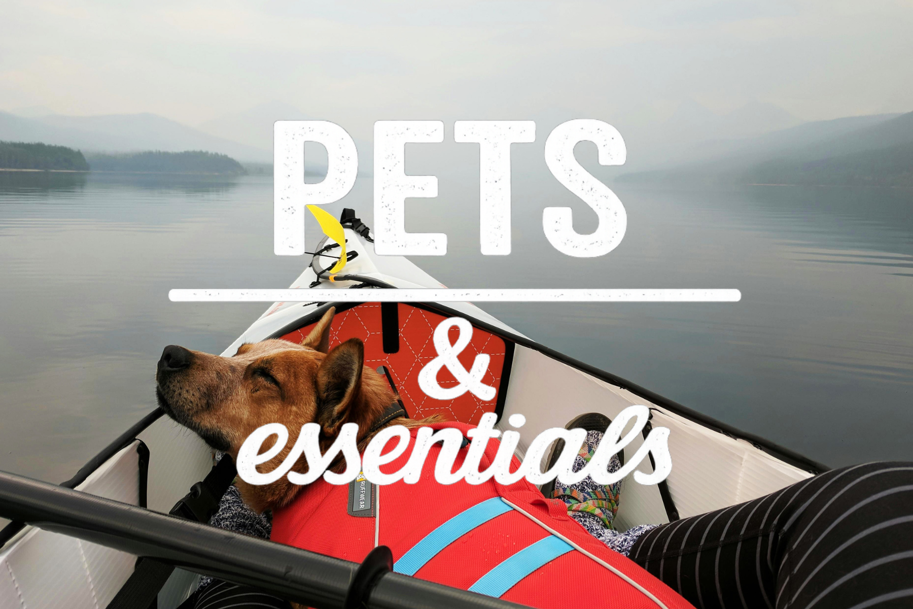 A dog relaxing in a kayak on calm water with mountains and trees in the background, overlaid with text that reads "Pets & essentials".