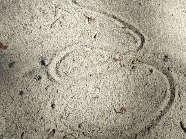 sand+squiggle.jpg