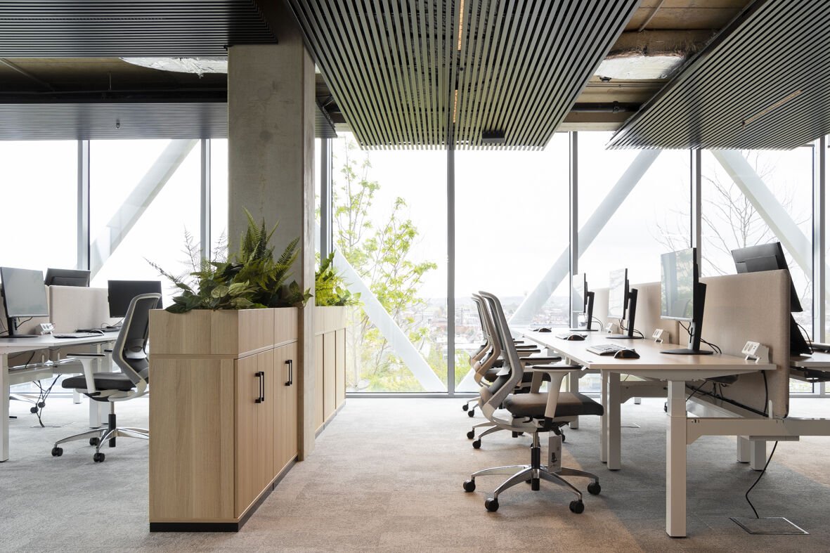 Office | 550m2 | Full renovation  →