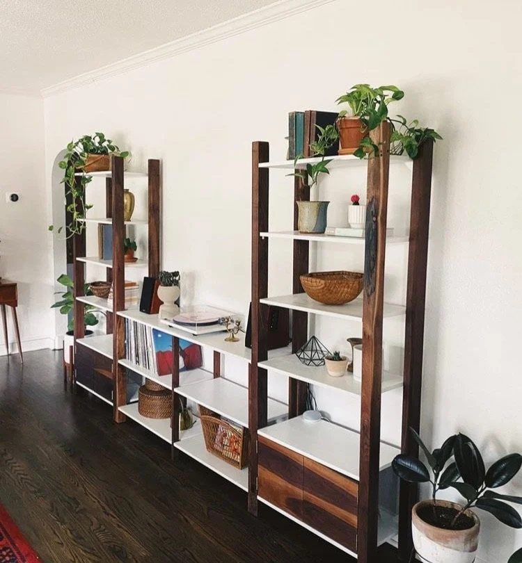 Black Walnut Shelving Unit