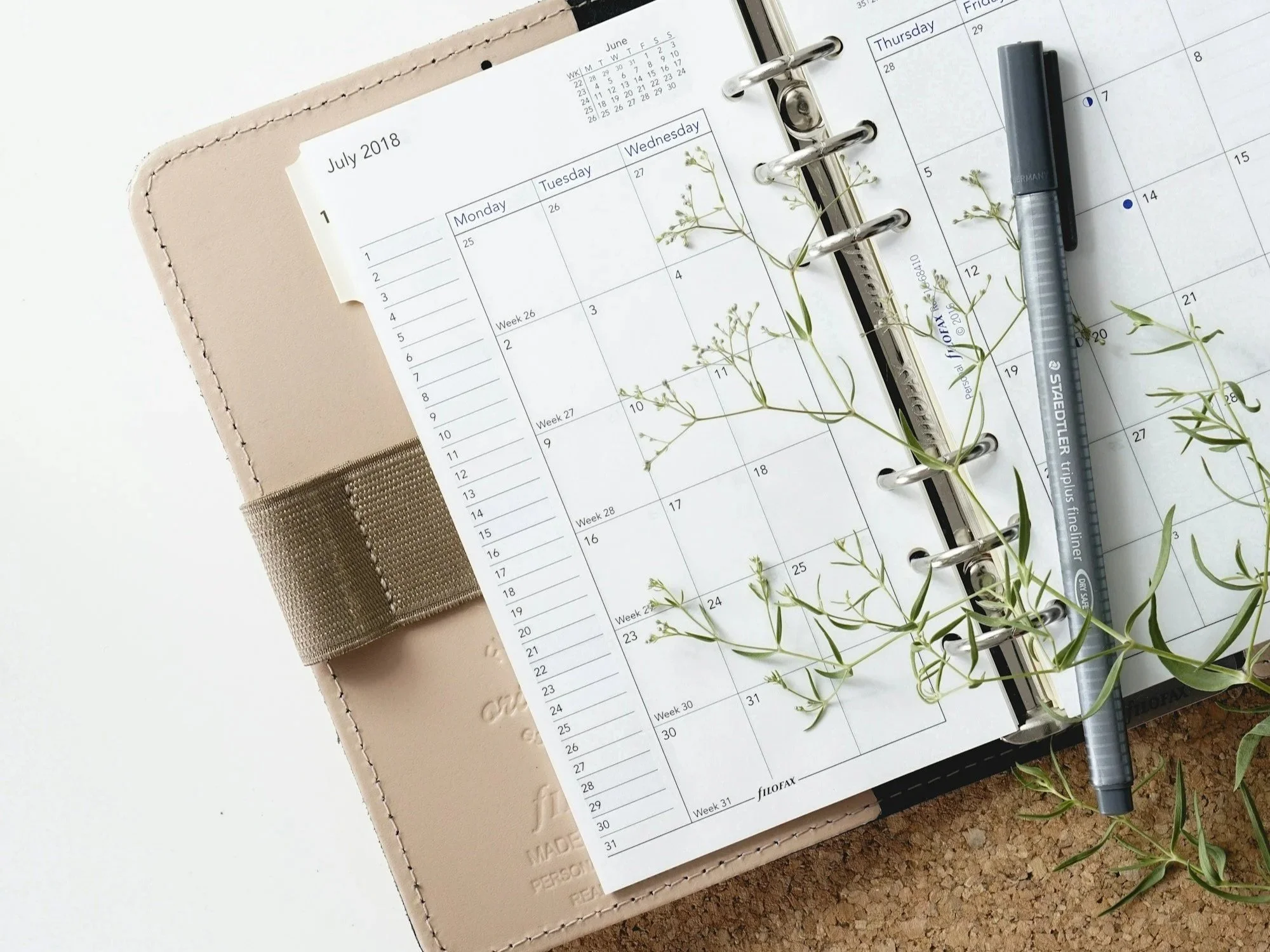 Open planner showing July 2018 calendar with small green plant and a gray Stabilo fineliner pen resting on it.