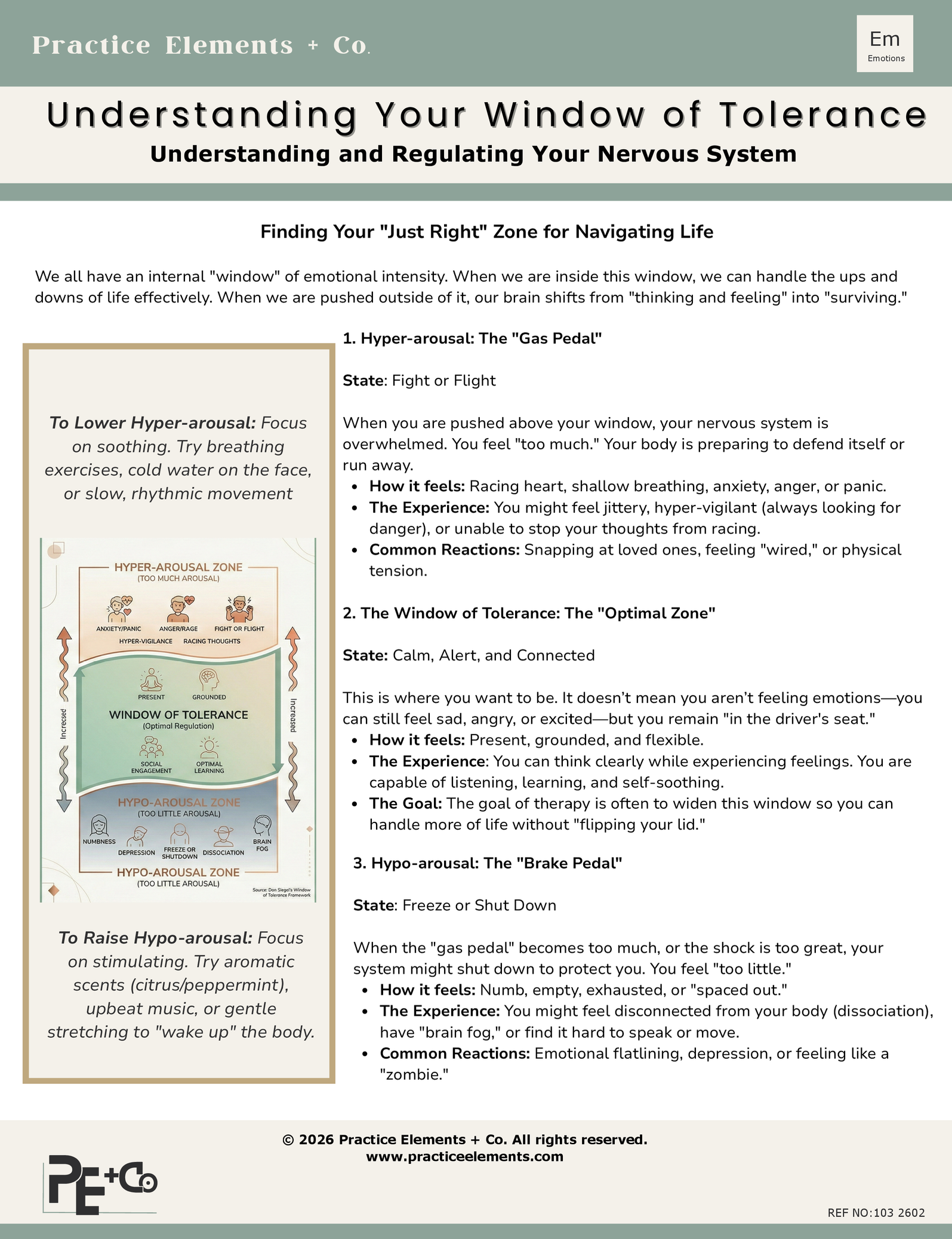 A detailed infographic titled "Understanding Your Window of Tolerance" explaining the nervous system's responses to emotional intensity with three zones: hyper-arousal, the window of tolerance, and hypo-arousal, each with descriptions, feelings, experiences, and reactions.