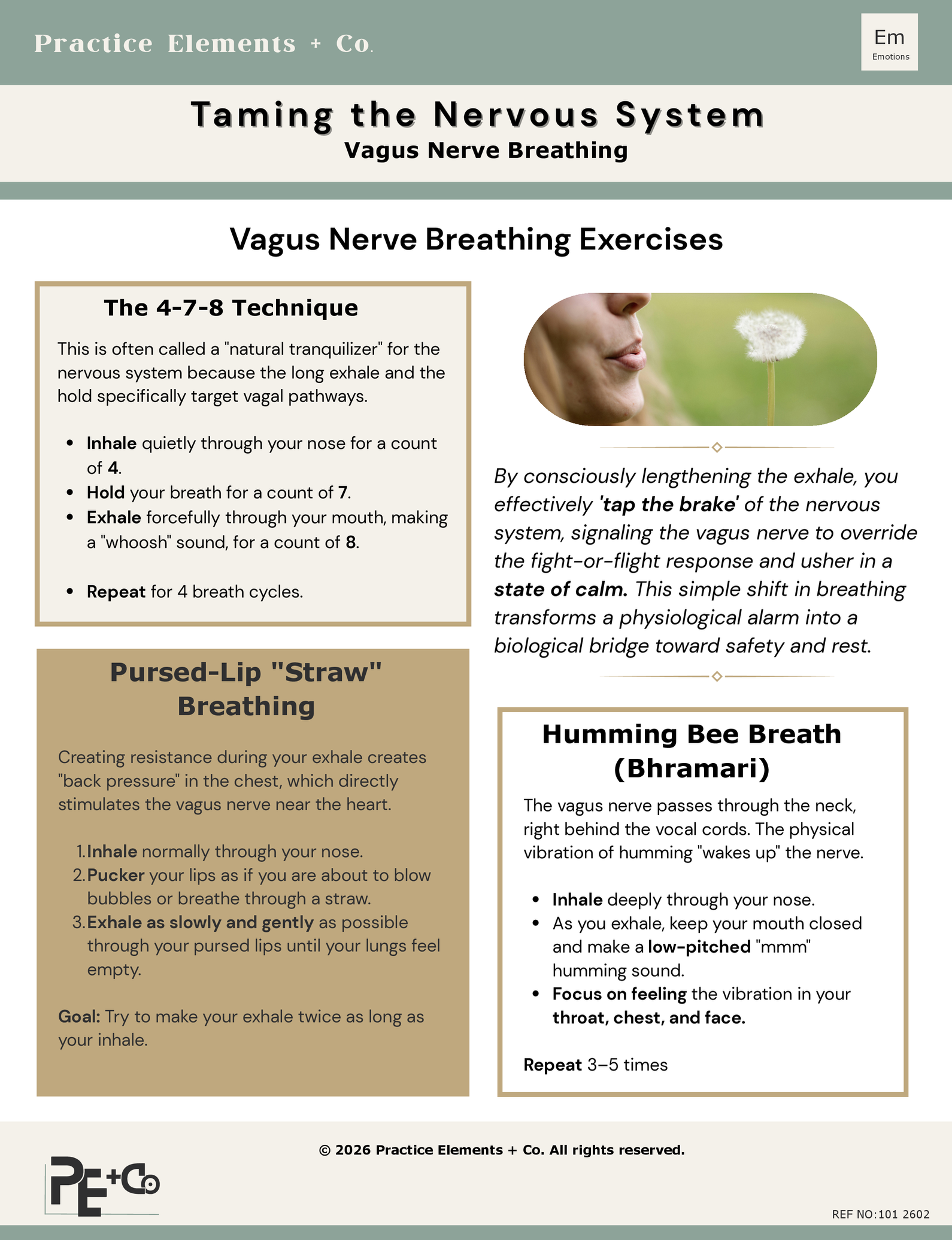 An informational sheet titled 'Taming the Nervous System: Vagus Nerve Breathing,' with sections describing breathing exercises like the 4-7-8 technique, pursed-lip breathing, and humming bee breath, including images of a person exhaling and a dandelion.