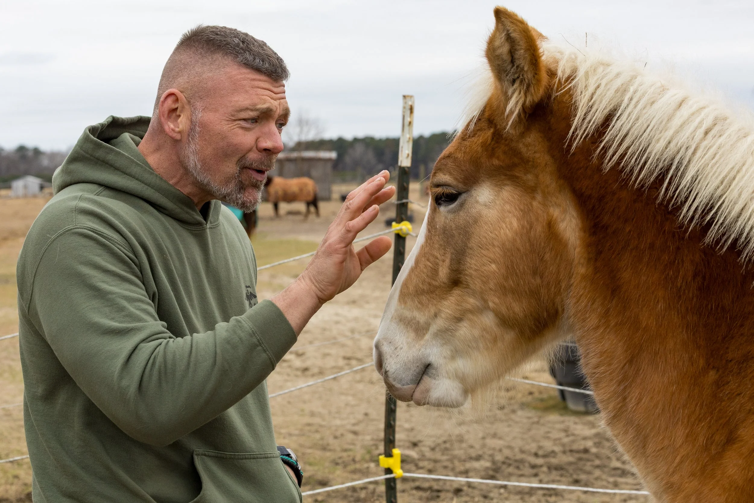 A man with short hair and a beard wearing a green hoodie gently strokes the face of a brown and white horse with a creamy mane at a farm, while other horses are visible in the background.