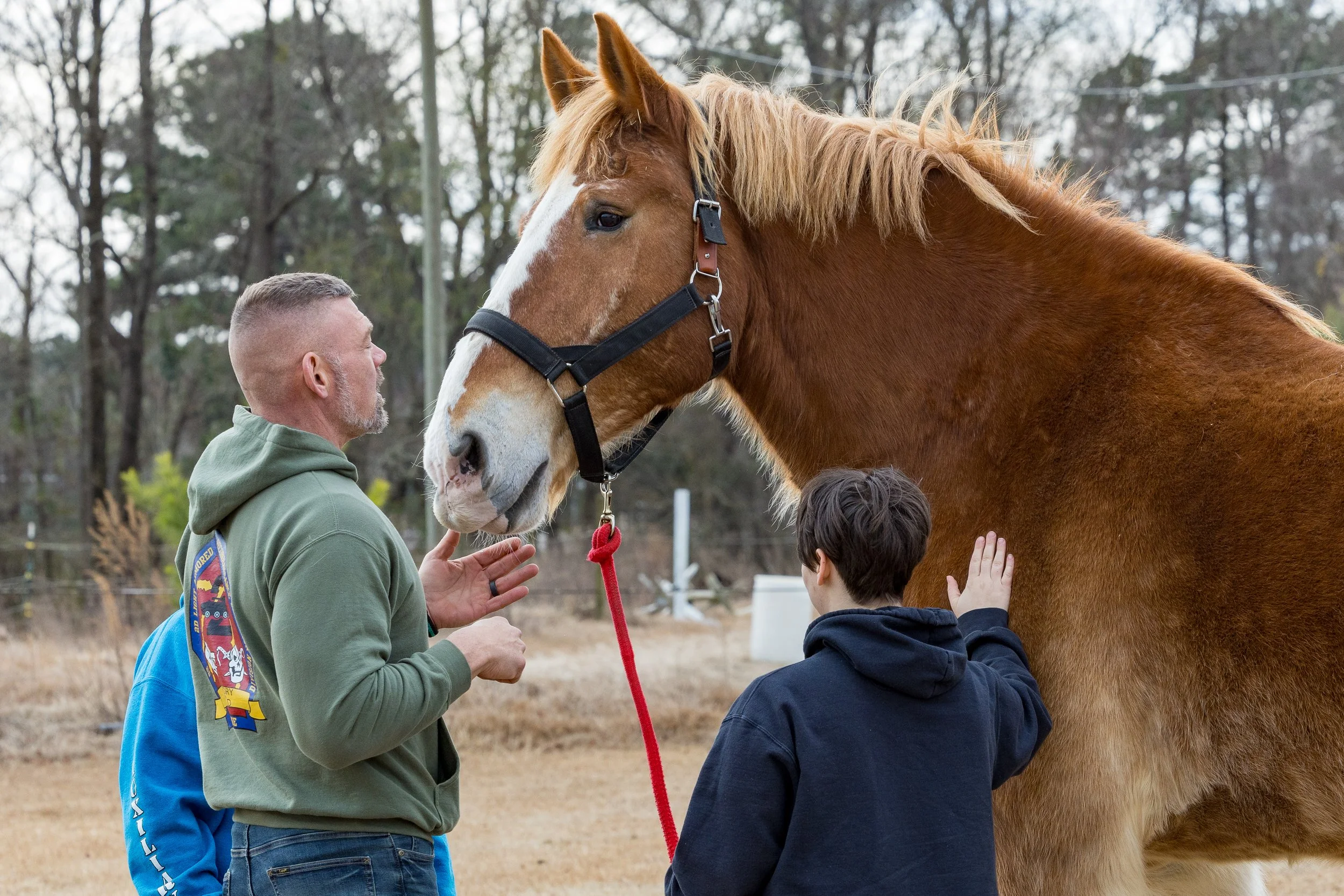 Two boys and a man with a beard and short hair pet a large brown horse with a white stripe on its face in an outdoor setting with trees in the background.