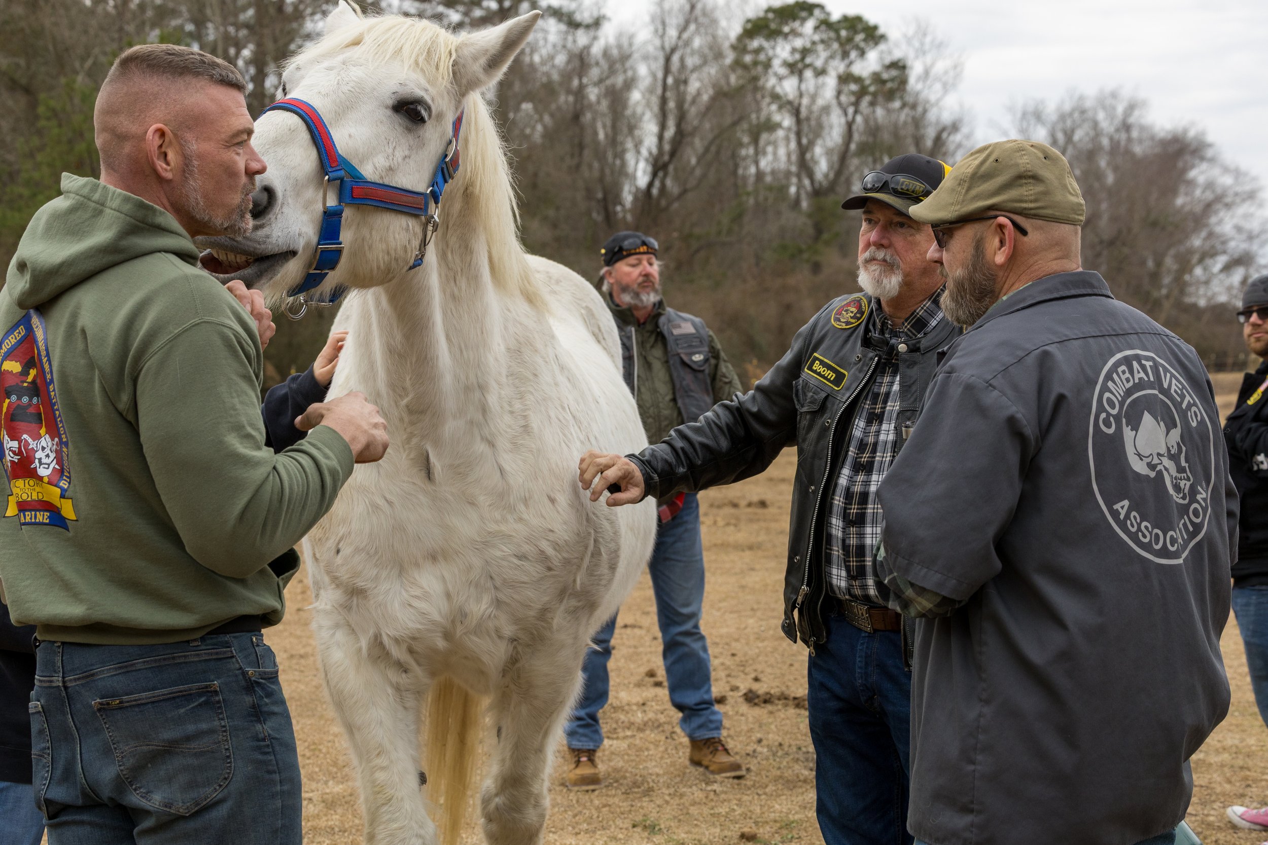 A group of men, some wearing vest with 'Combat Veterans' logo, are gathered around a white horse outdoors, with one man touching its neck and another pointing toward it.