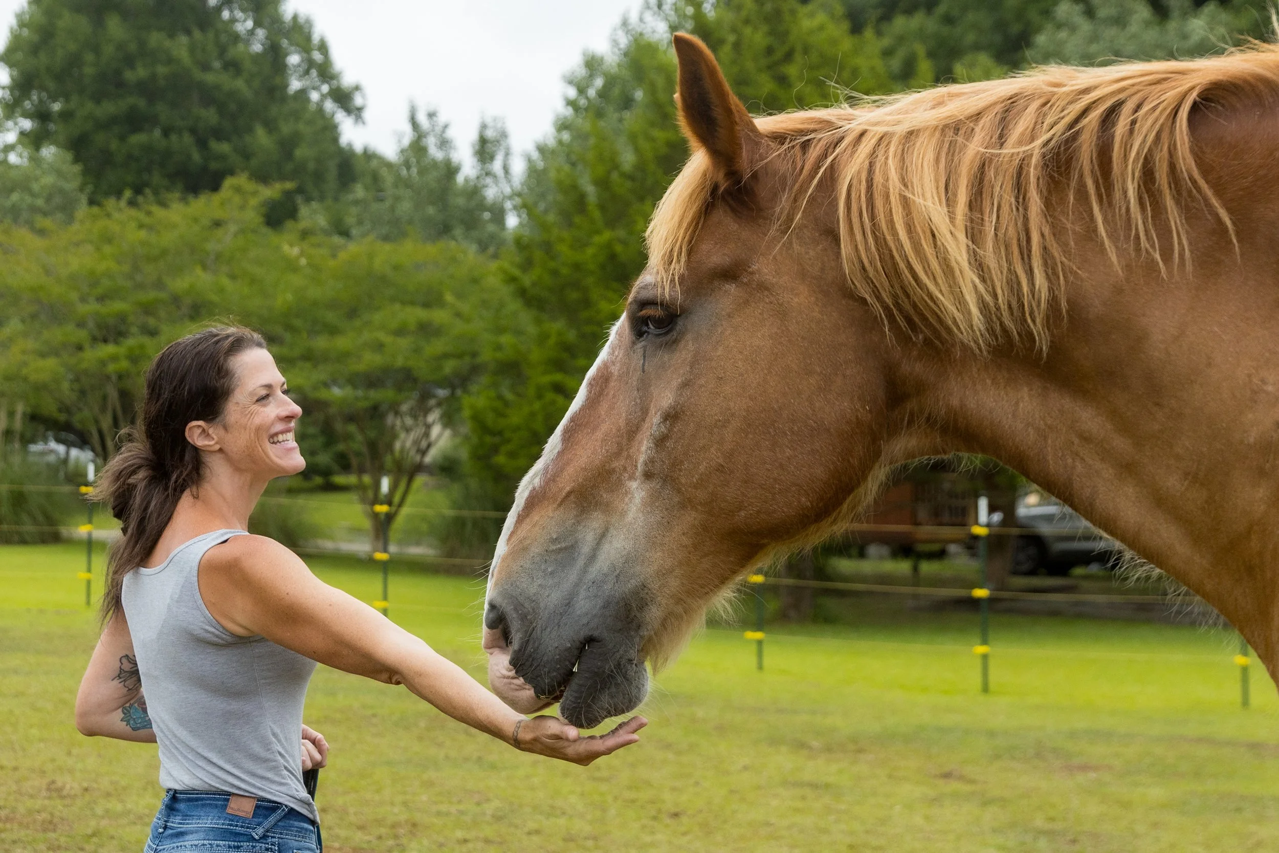 A woman standing outdoors petting a large, light-brown horse with a white blaze on its face, near a wooded area with leafless trees.