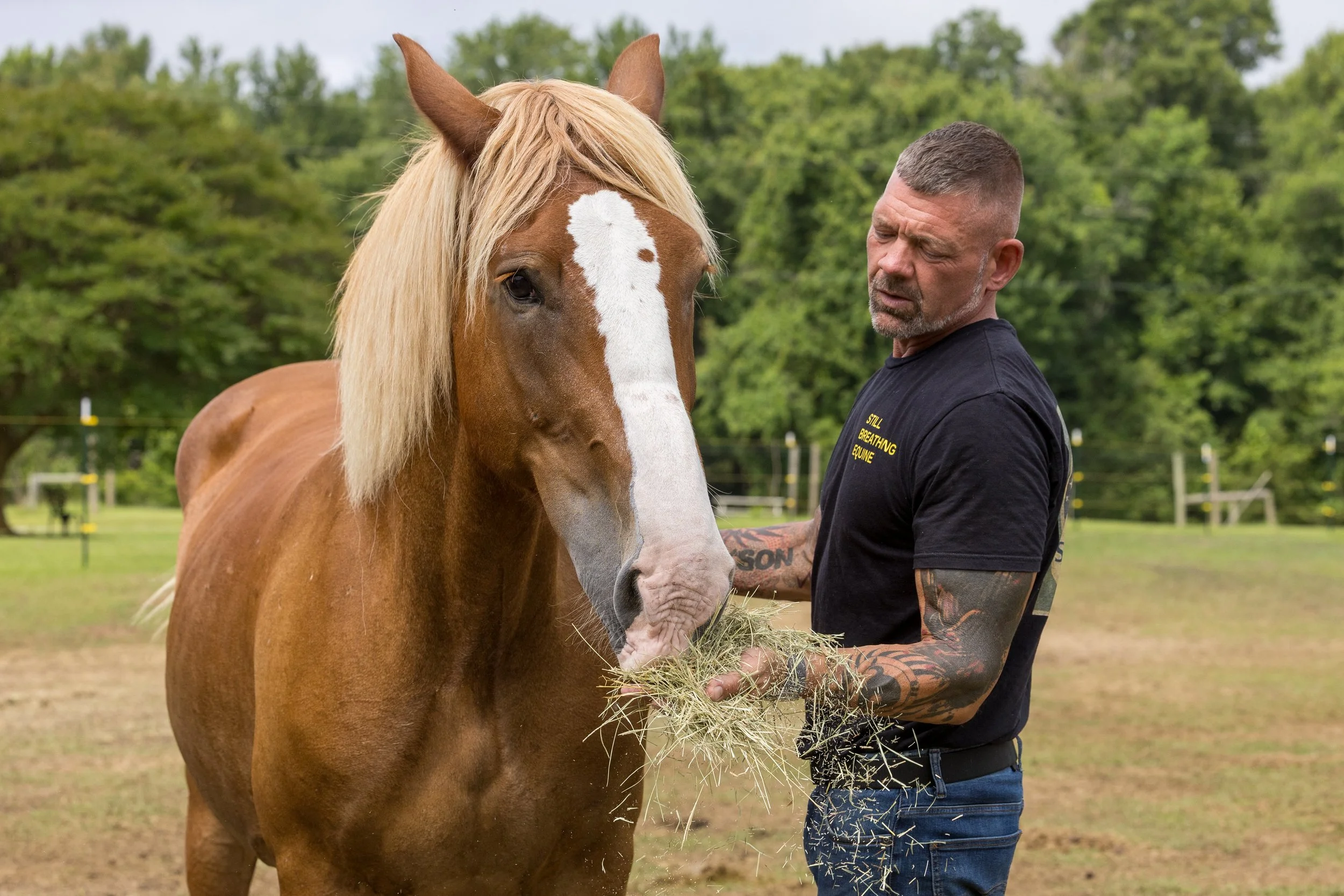 A man with a trimmed beard and short hair feeding a chestnut horse with a white blaze on its face in a green outdoor setting.